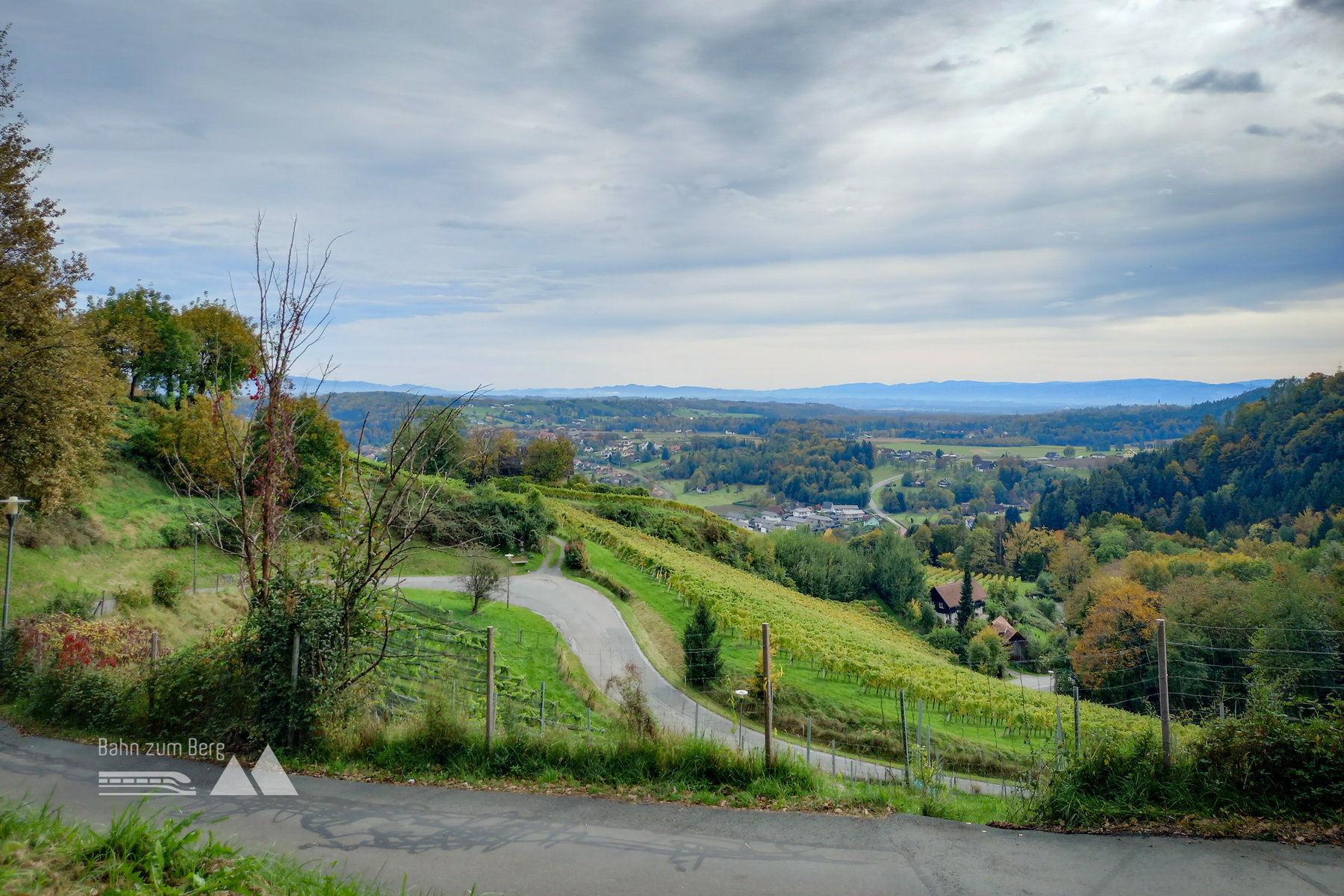 Blick ins weststeirische Hügelland. Foto: Martina Friesenbichler