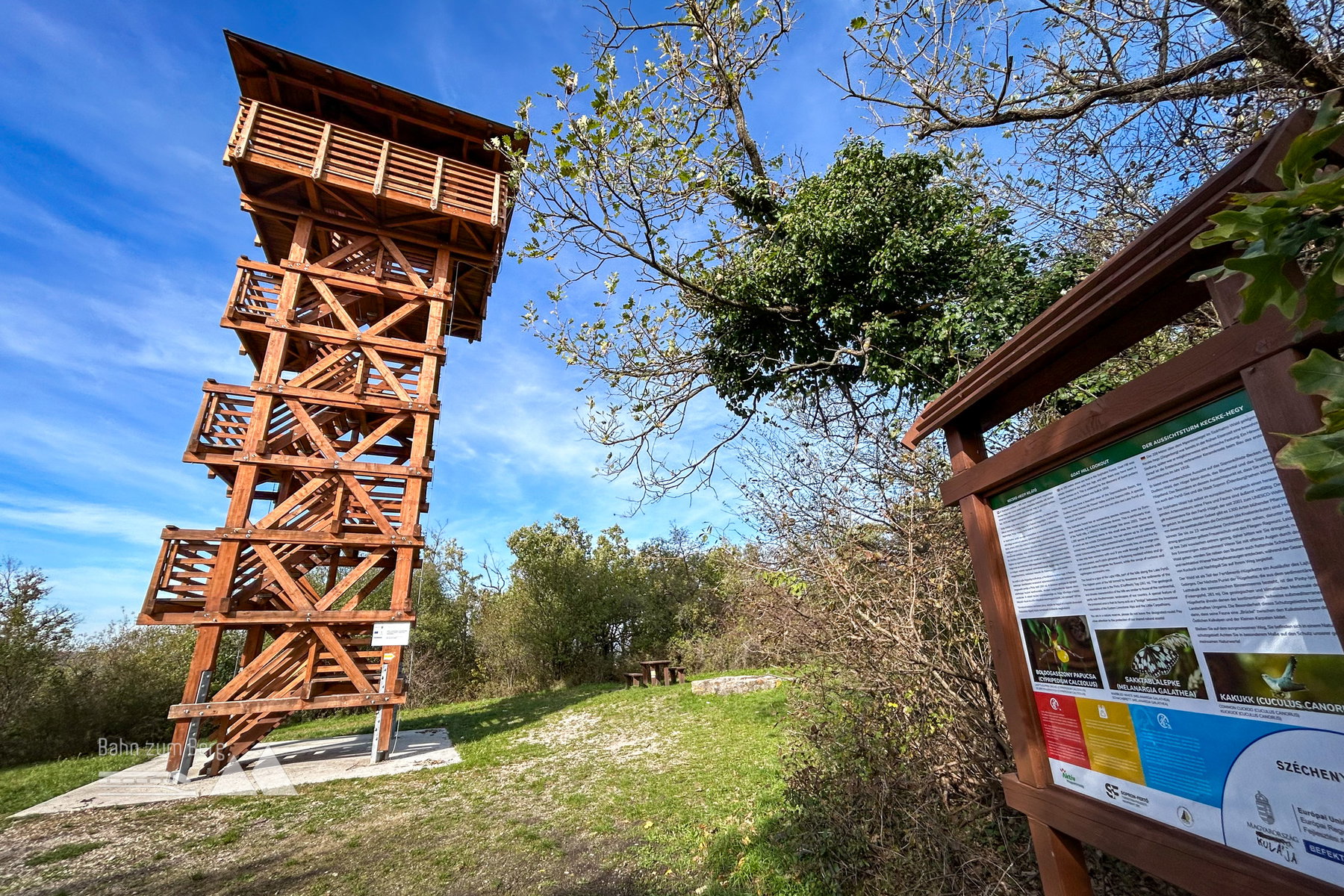 Aussichtsturm am Ziegenkogel. Foto Veronika Schöll