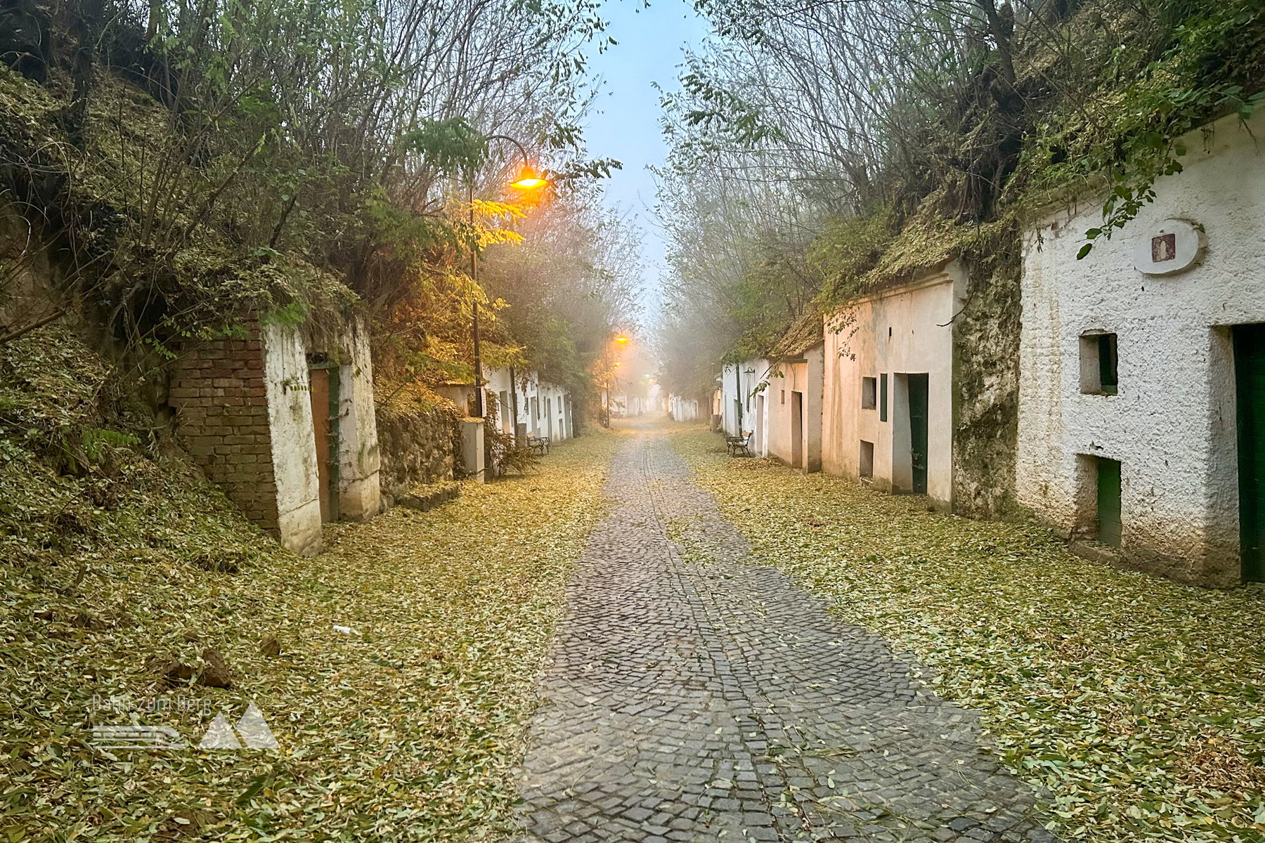 Poysdporfer Kellergasse. Foto: Veronika Schöll