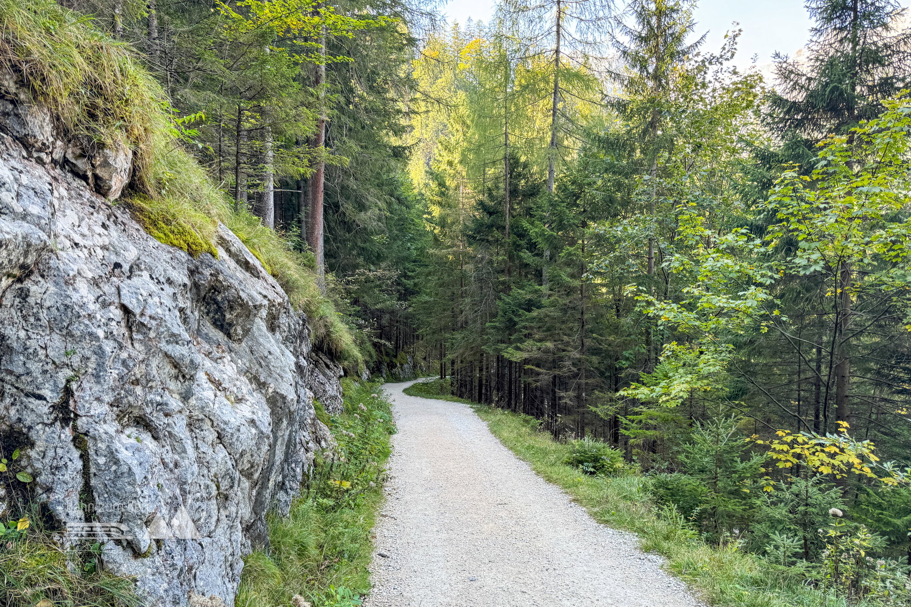 Forstweg zum Hintersee; Foto: Bernhard Walle