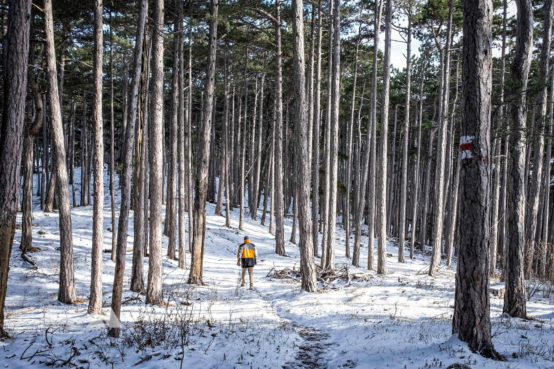  Wir sind nicht die ersten Schneestapfer! Foto: Birgit Reiter