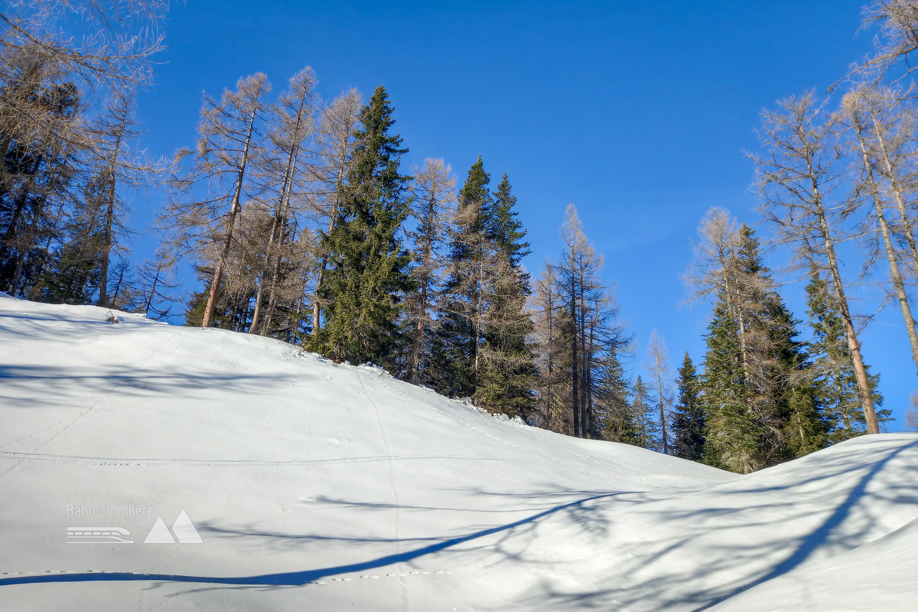 Abstecher ins Gelände. Um die Skitour zu einer echten Skitour zu machen, mussten ein paar Spitzkehren eingebaut werden. Foto: Martina Friesenbichler