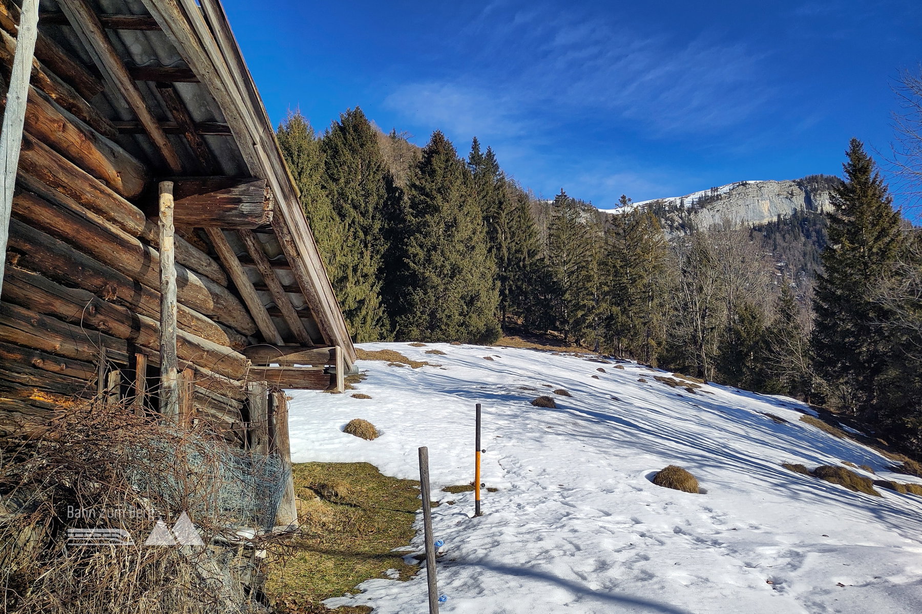 Salzgföllalm – hinten der, von dieser Seite felsige, Alpbichl. Foto: Karl Plohovich