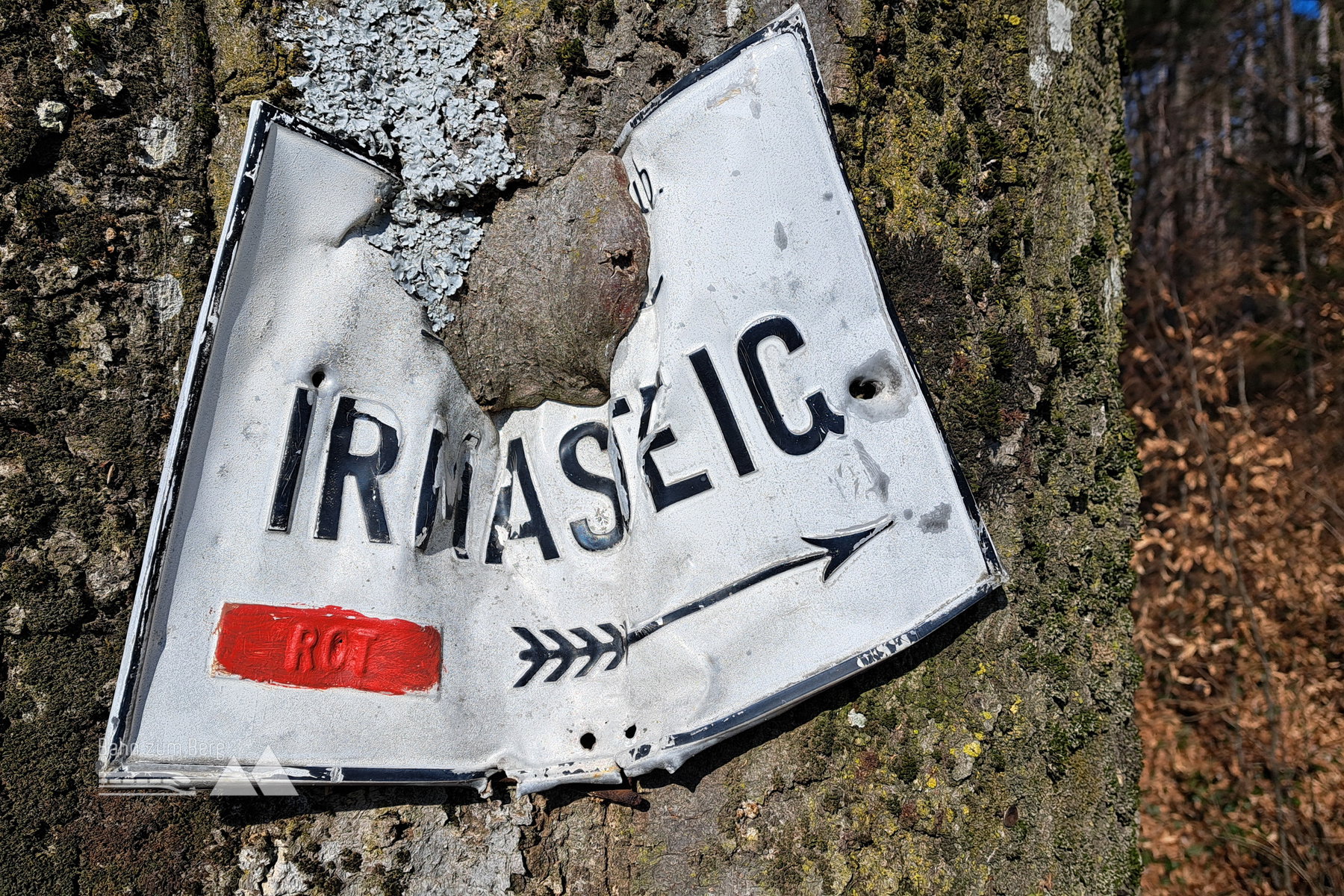 Baum frisst Schild. Foto: Gerold Petritsch