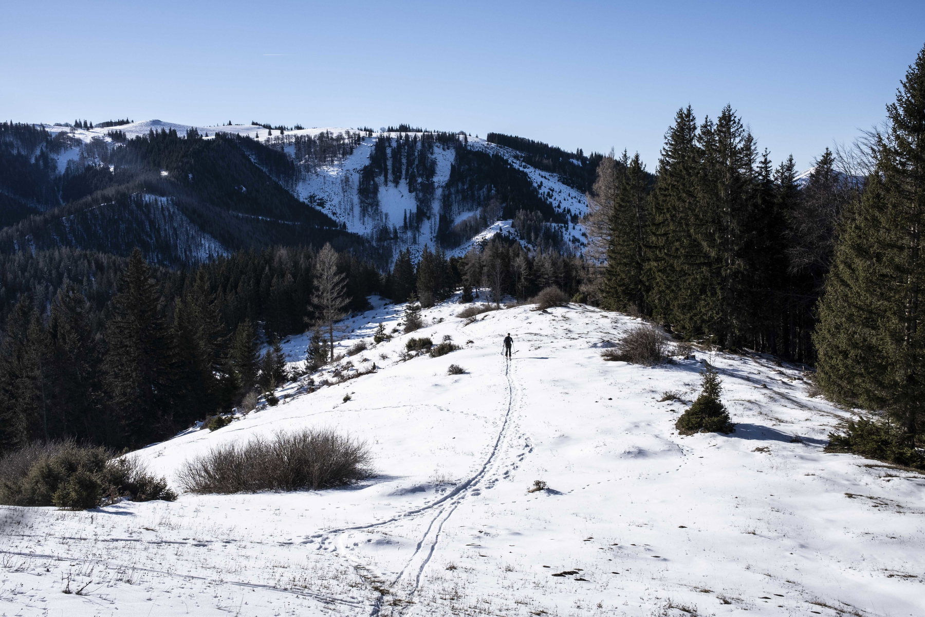 Das Plateau unterhalb des Tiroler Kogels. Foto: Birgit Reiter