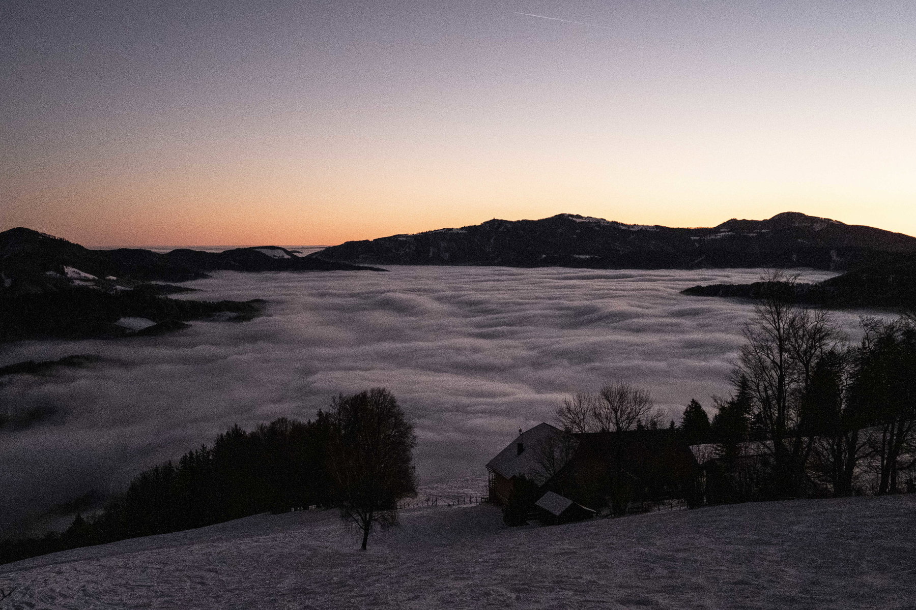 Türnitz im Nebel, morgens. Foto: Birgit Reiter
