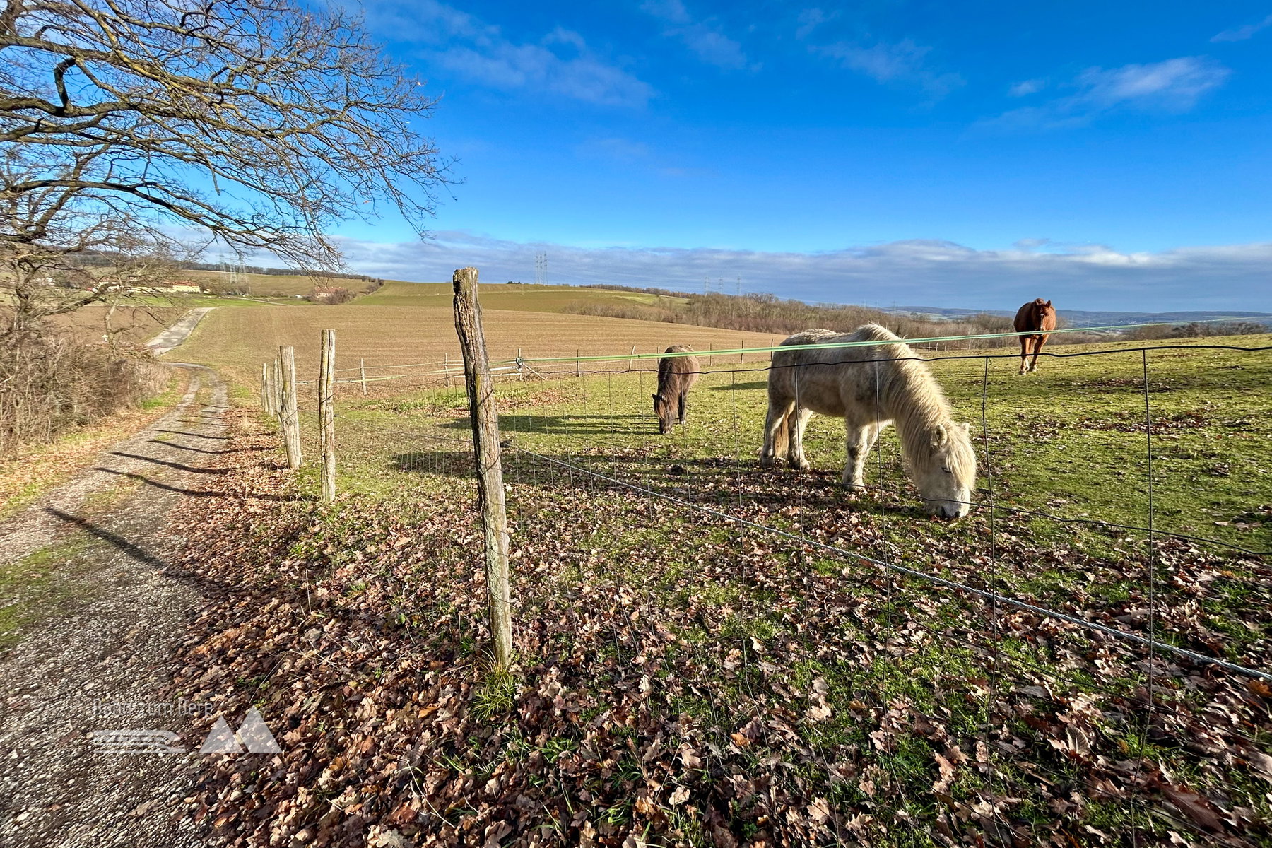 Zwischen Kreuzenstein und Schöner Aussicht. Foto Veronika Schöll