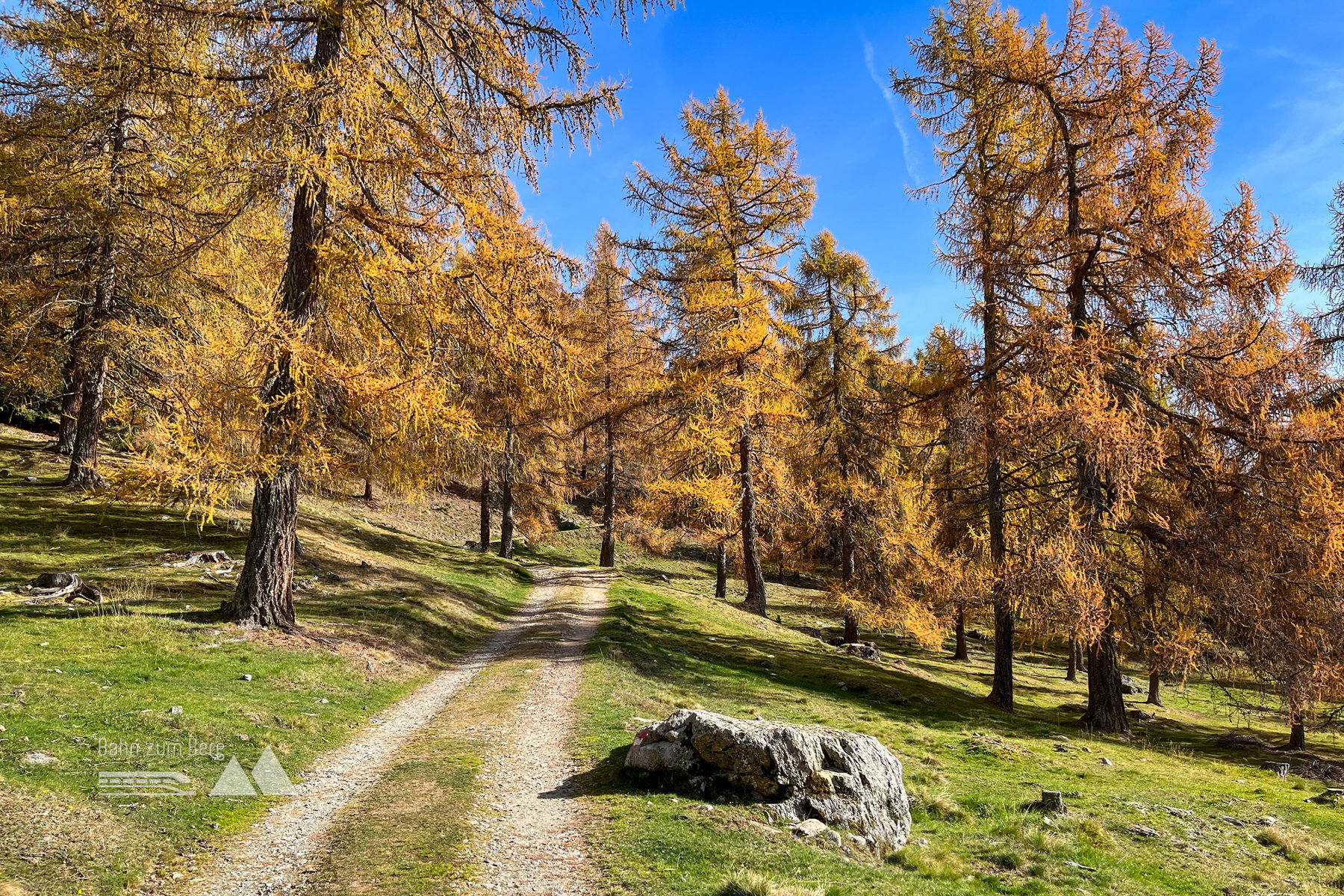 Waldweg. Foto: Bernhard Walle