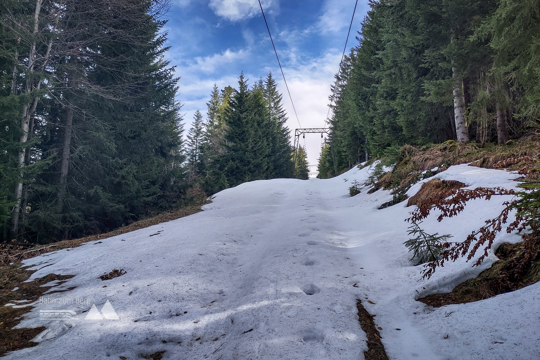 Schneeschuhe – oder knöcheltief stapfen. Foto: Karl Plohovich