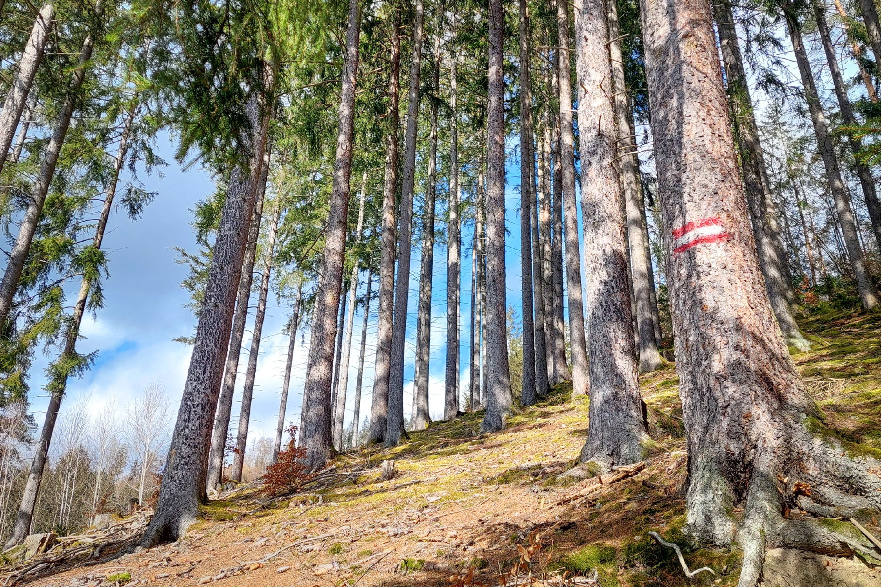 Was für ein herrlicher Frühlingstag – oder doch nicht? Foto: Alice Frischherz
