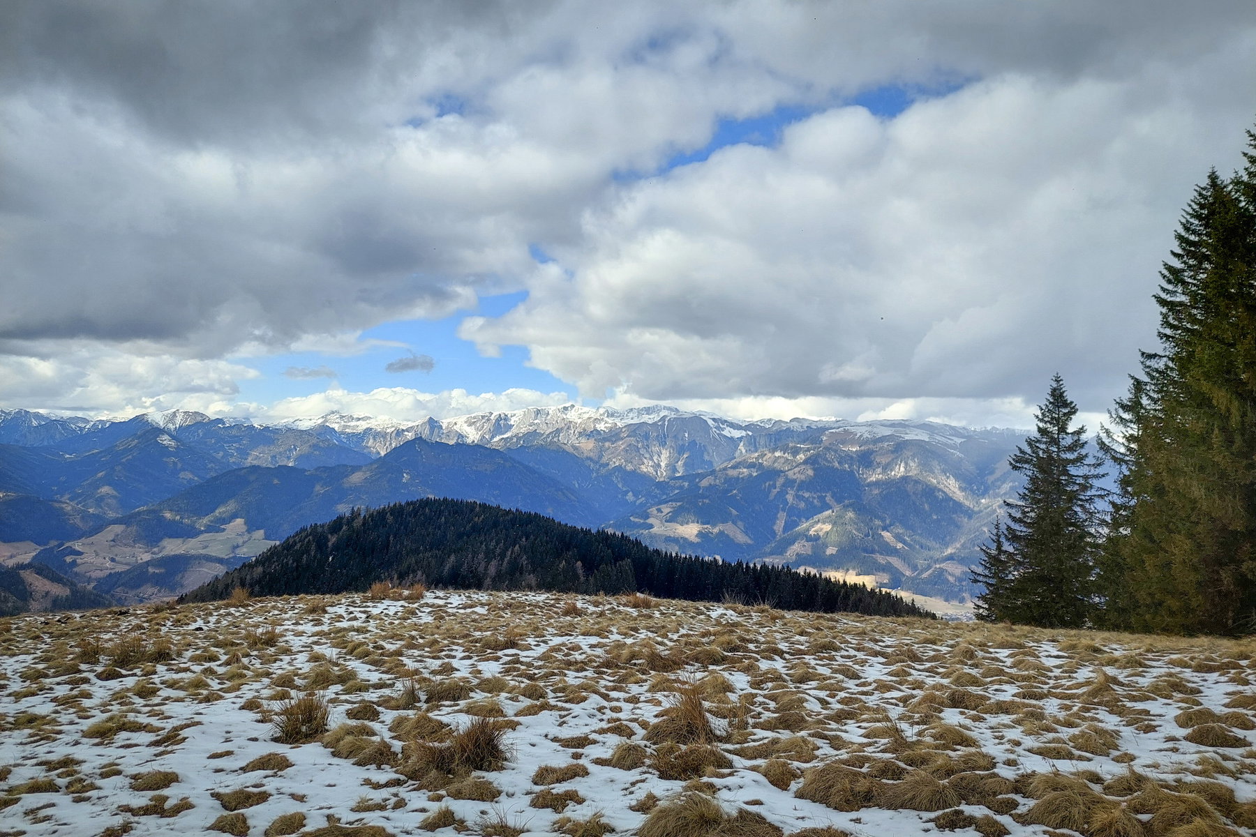 Aussicht von der Zöberer Höhe in Richtung Hochschwab. Foto: Alice Frischherz