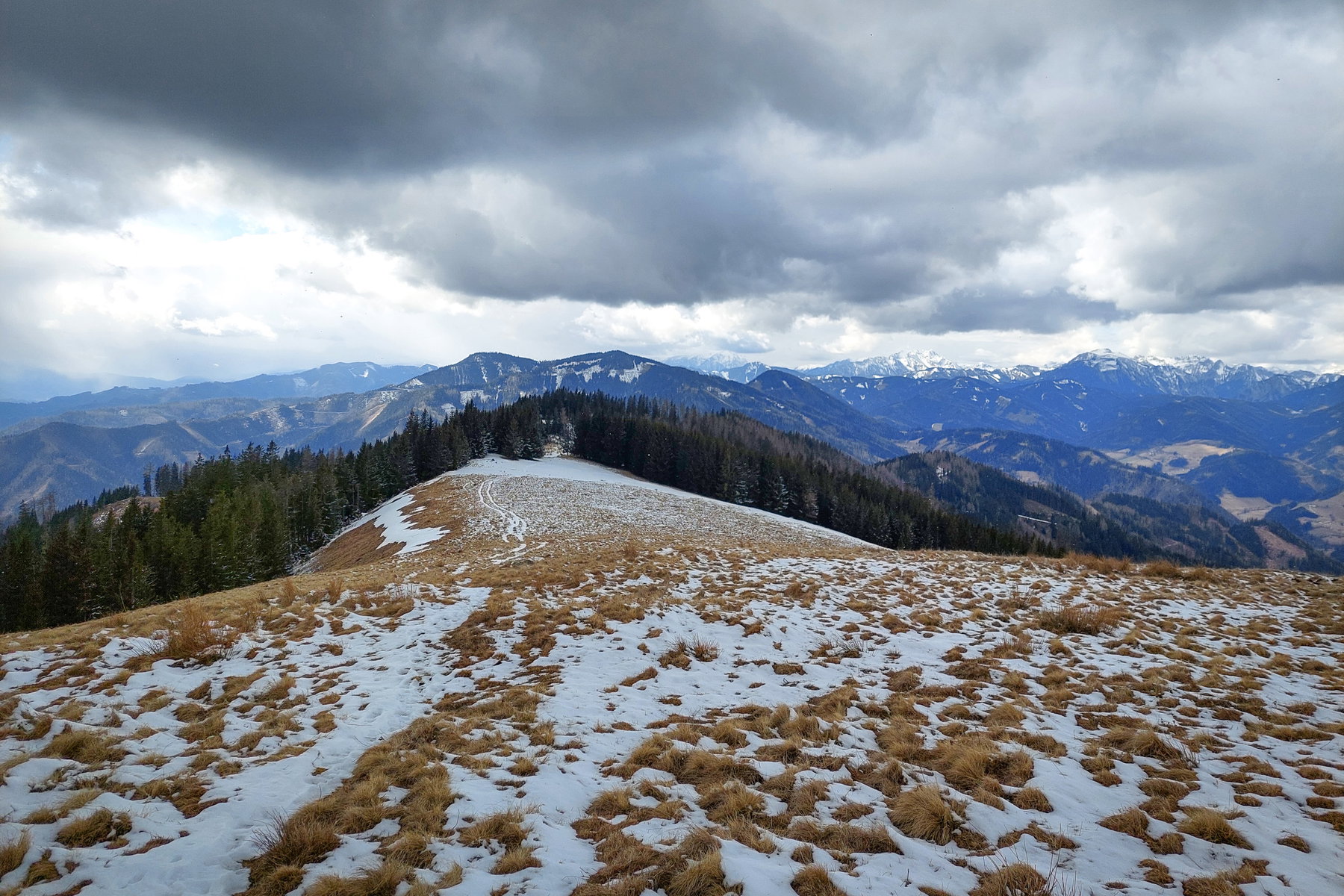 Aussicht von der Zöberer Höhe in Richtung Eisenerzer Alpen. Foto: Alice Frischherz