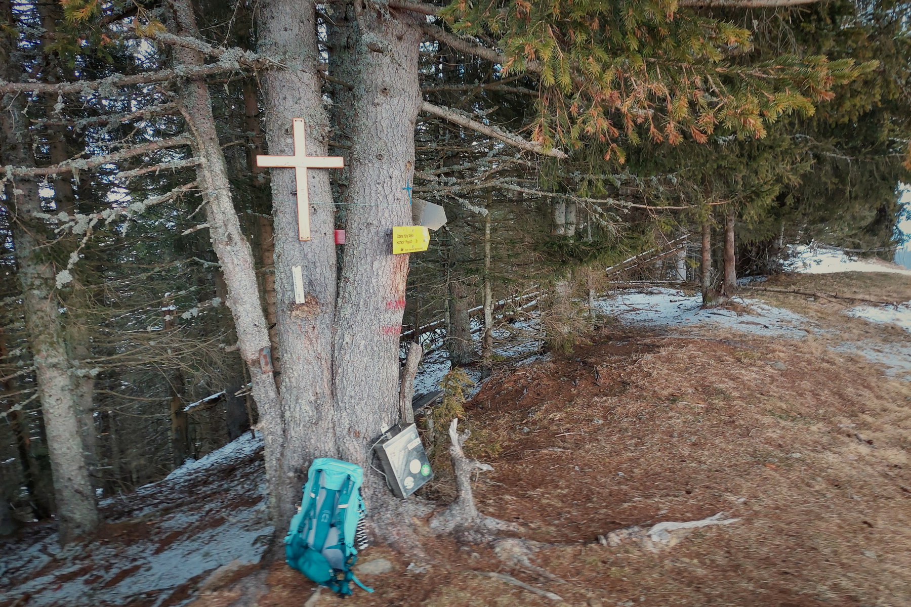 Gipfelkreuz/Baum Zöberer Höhe. Foto: Alice Frischherz