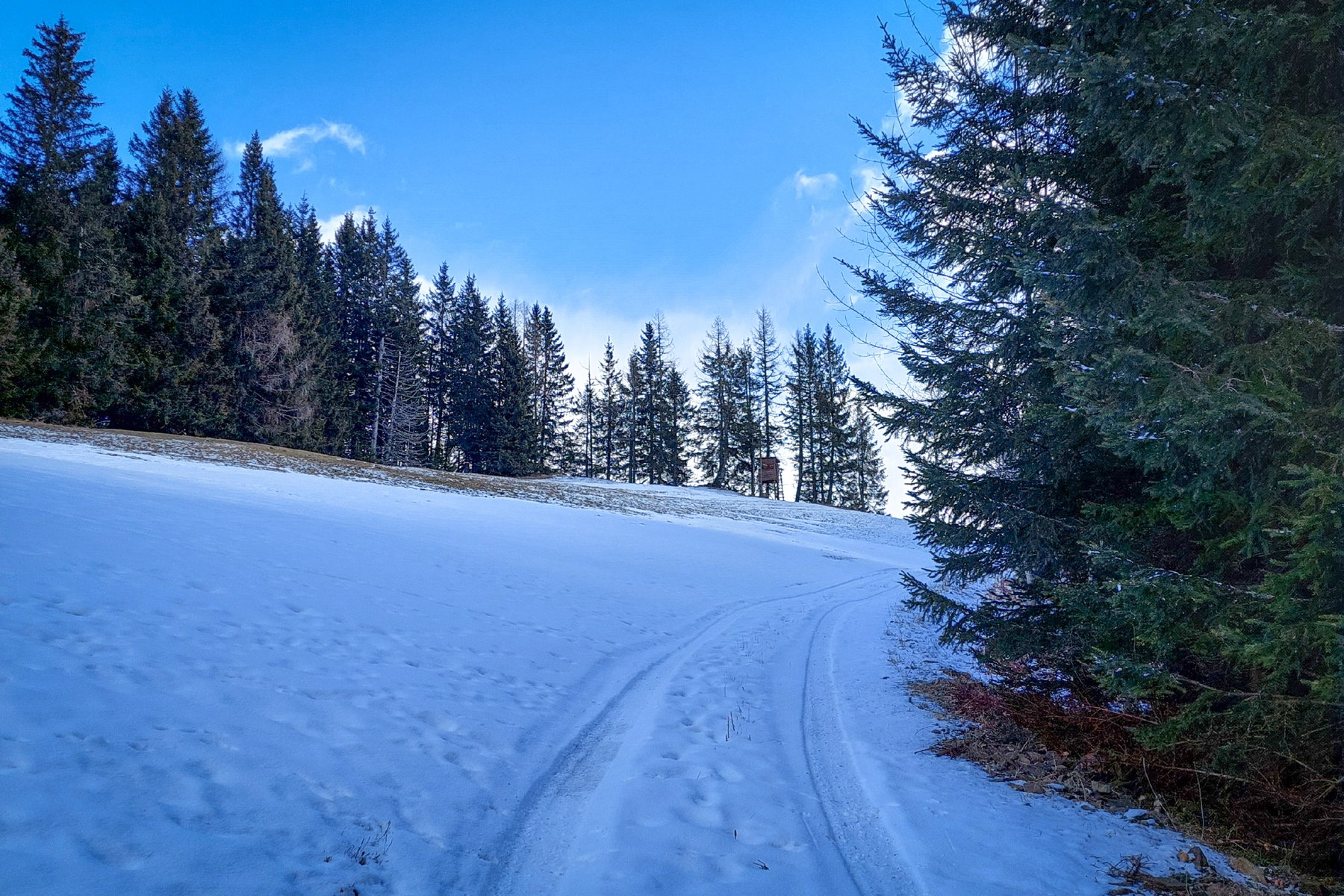 Kurz nach dem Roßkogel. Foto: Alice Frischherz