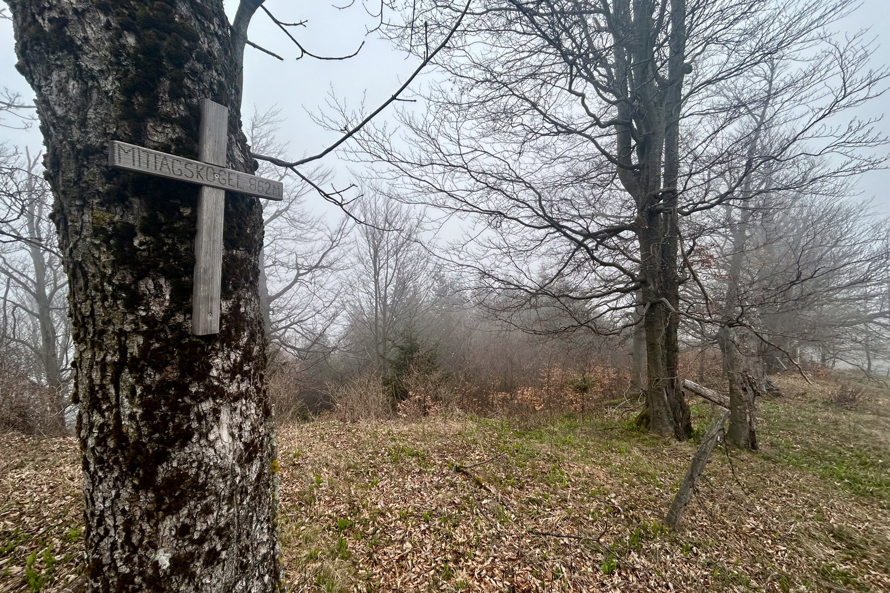 Am Mittagskogel. Foto Veronika Schöll