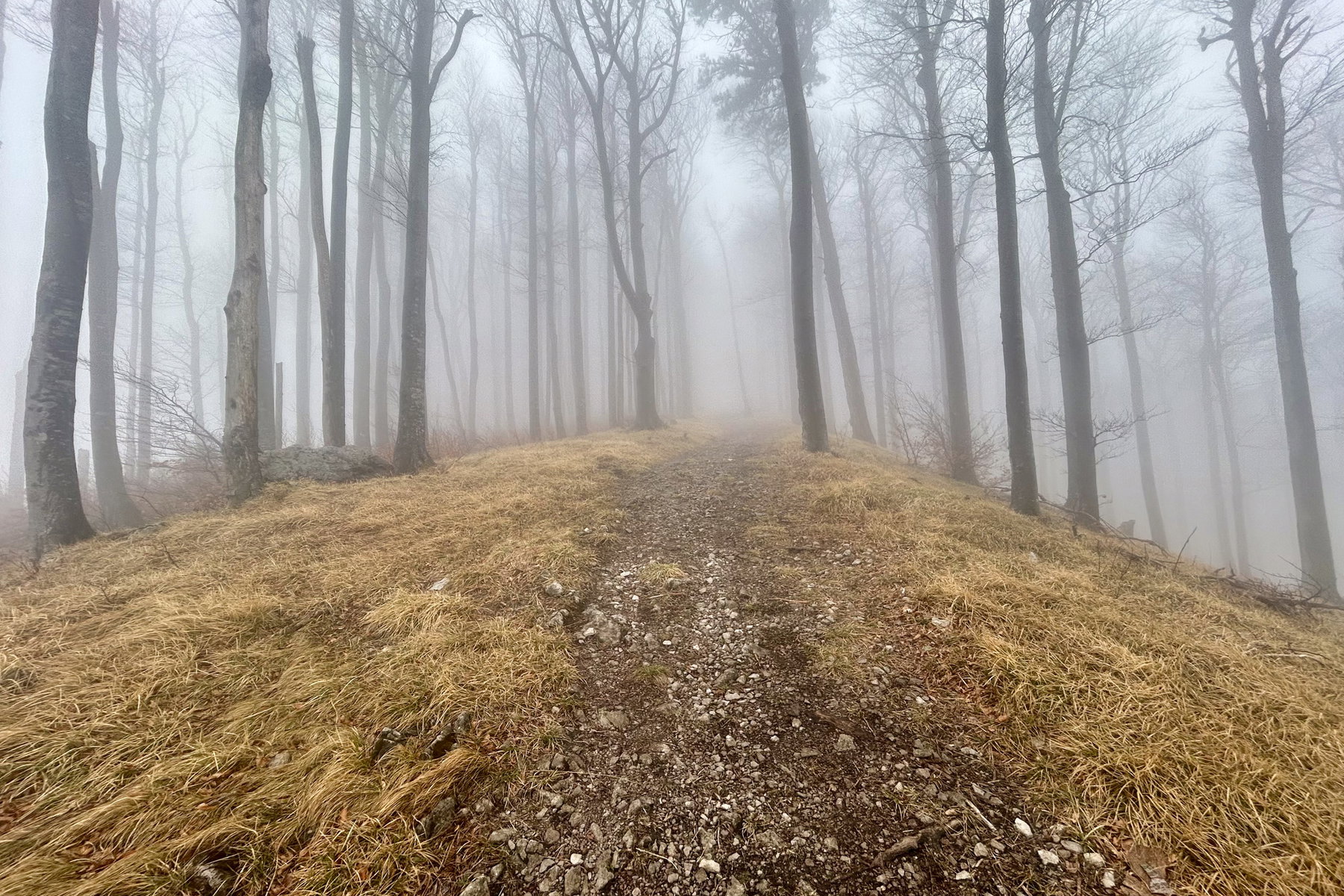Gipfelweg zum Hocheck. Foto Veronika Schöll
