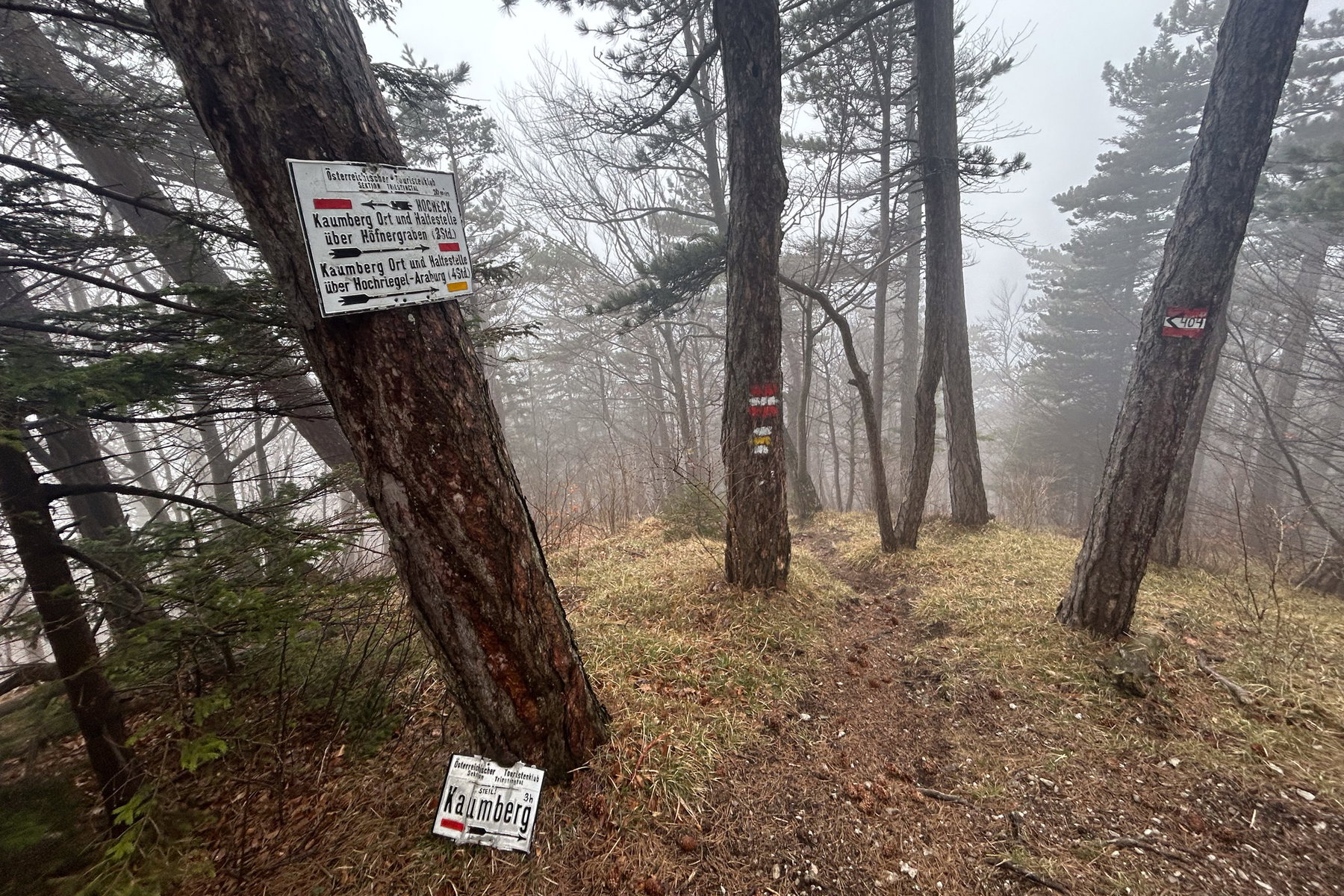 Die ersten Abzweiger ins Tal lasse ich hinter mir. Foto Veronika Schöll