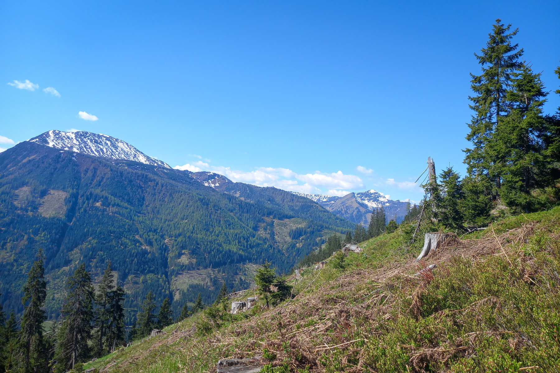 Blick zu lohnenden Skitourenzielen. Foto: Martina Friesenbichler
