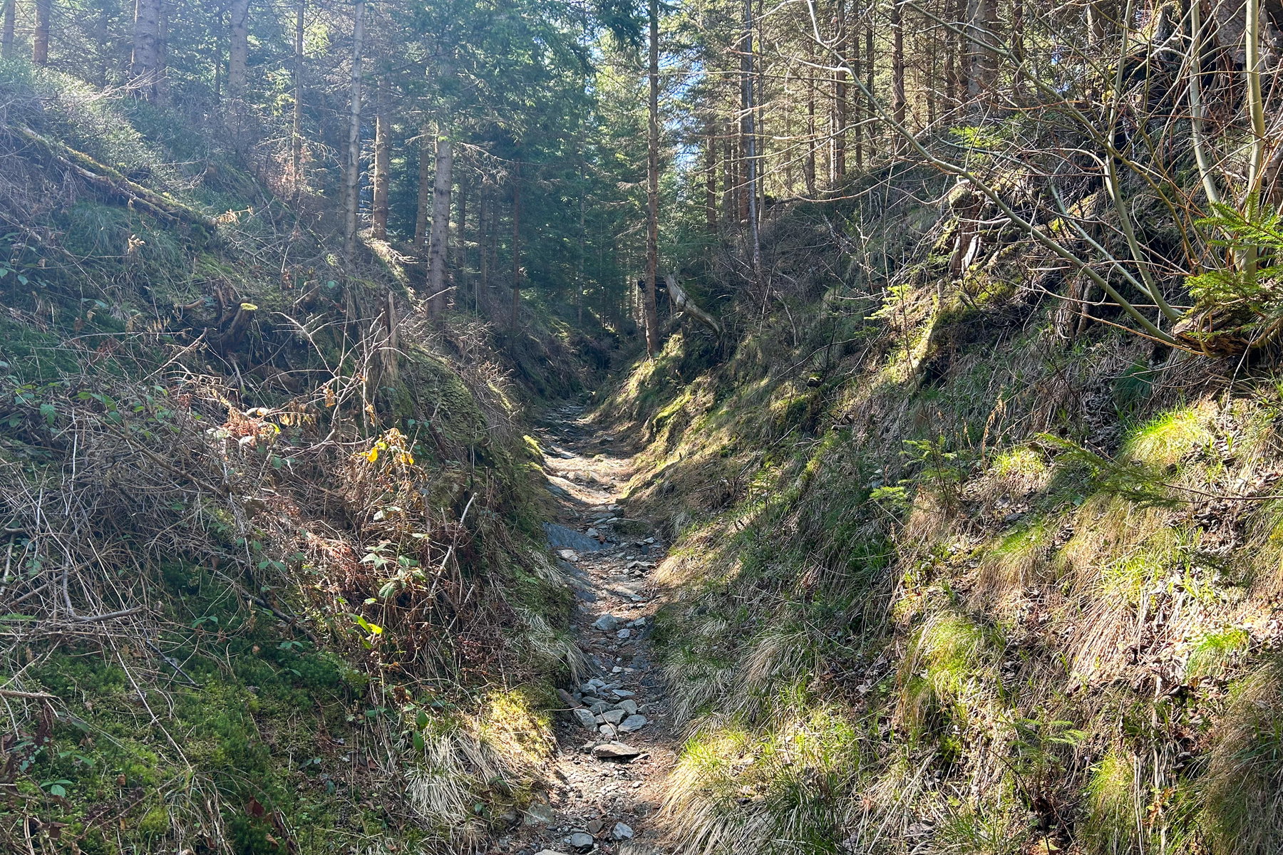 Am Weinweg. Foto Veronika Schöll