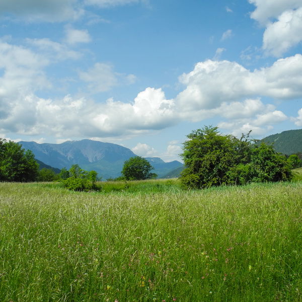 Auf und Ab durchs Friedrich Gauermann-Land