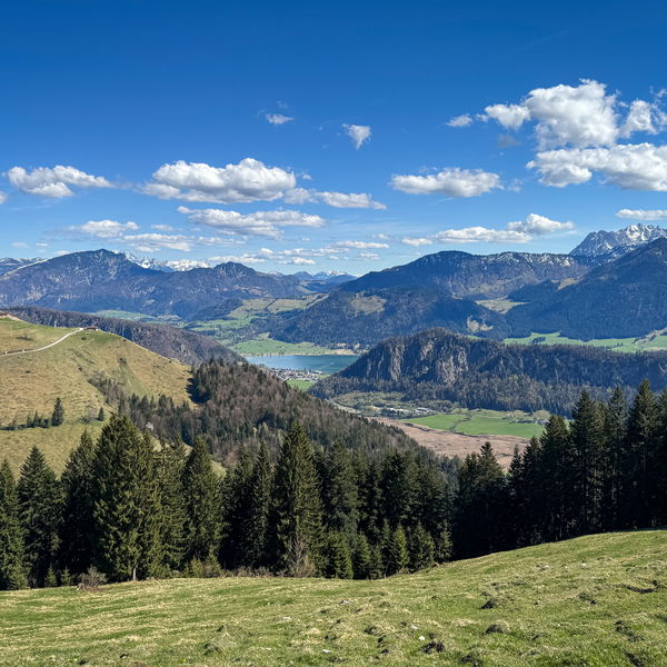 Rundweg von Sachrang über die Wildbichl Alm zur Karspitze