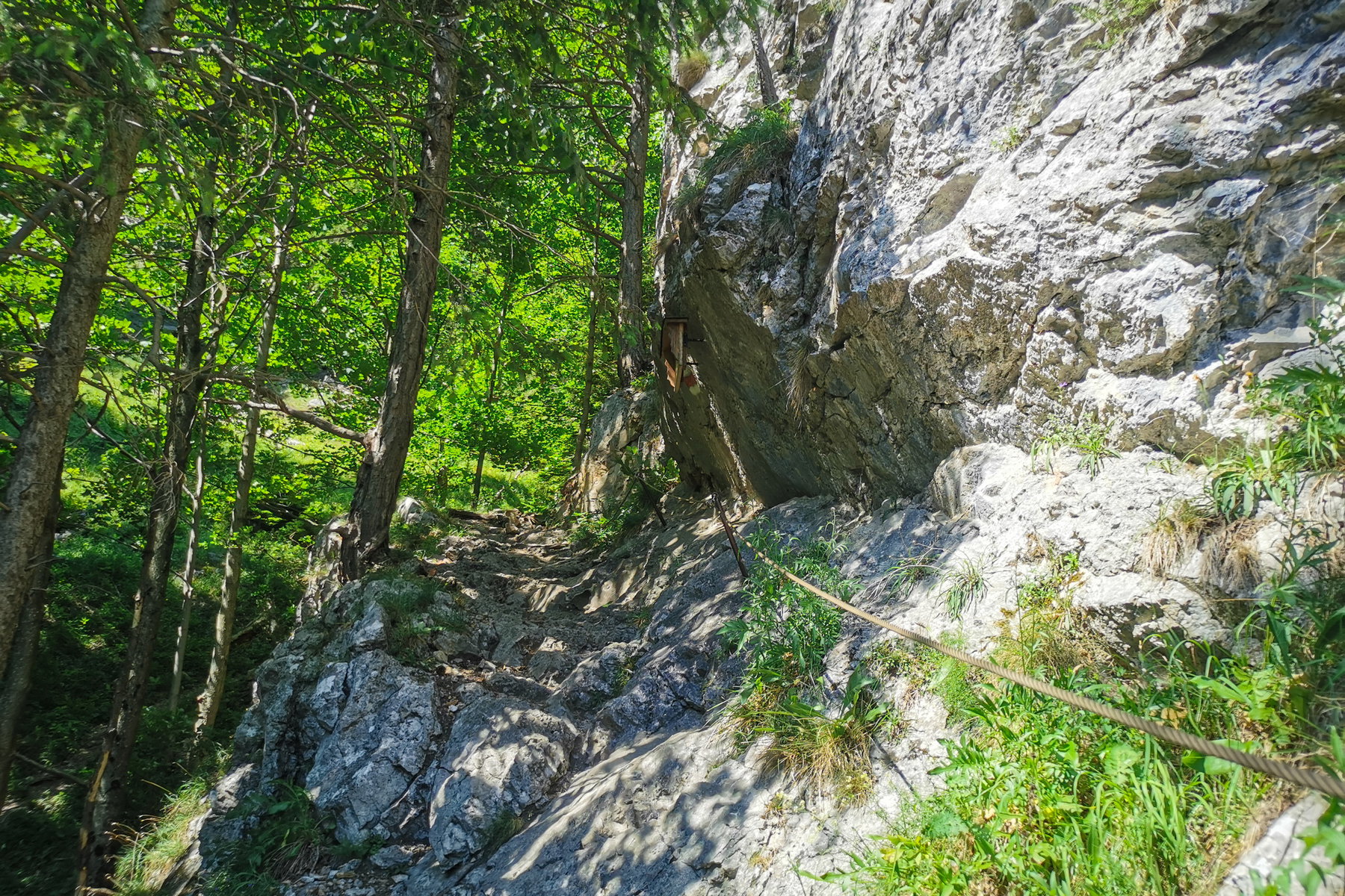Mariensteig. Foto: Silvia Henglmüller