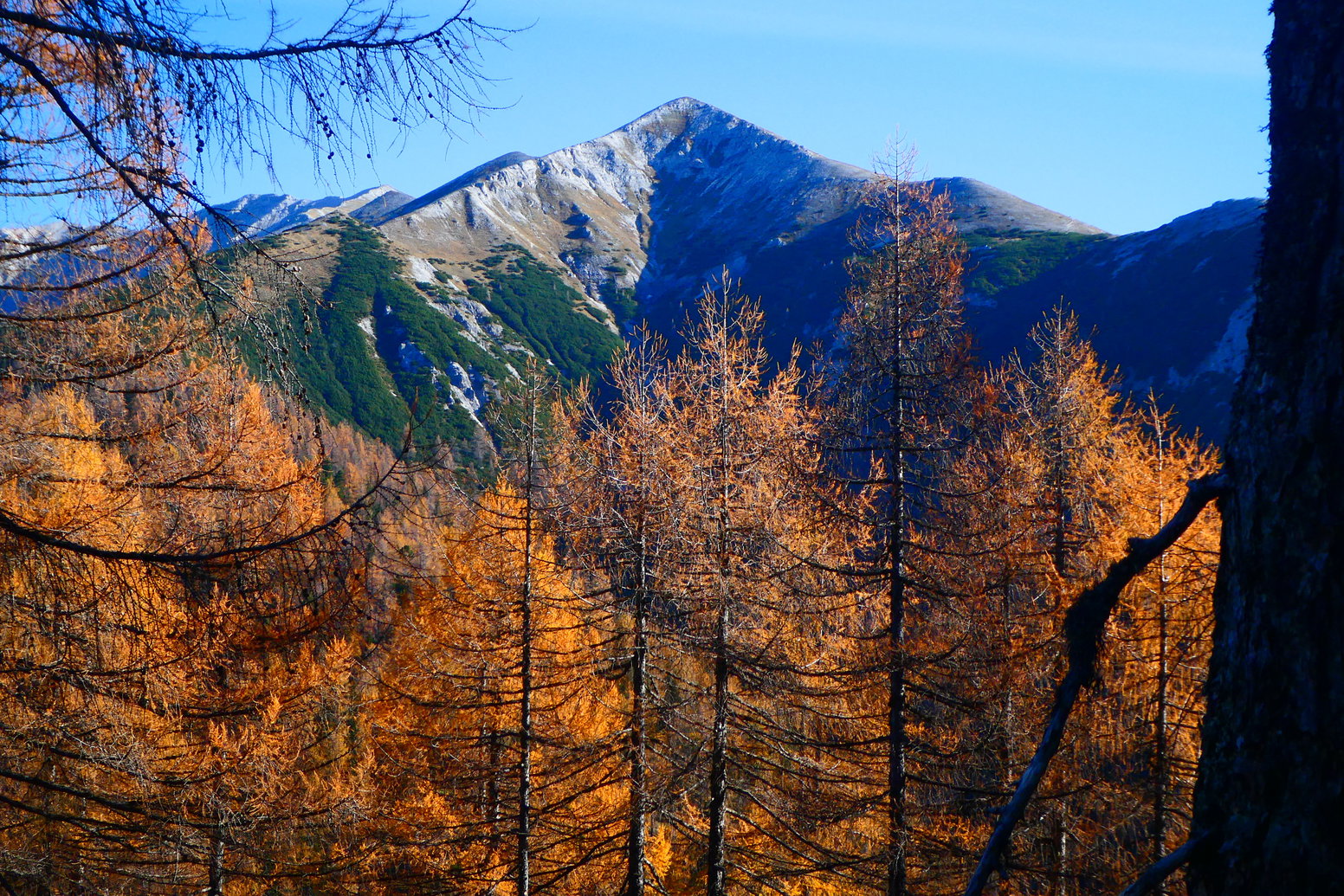 Foto: Karl Plohovich