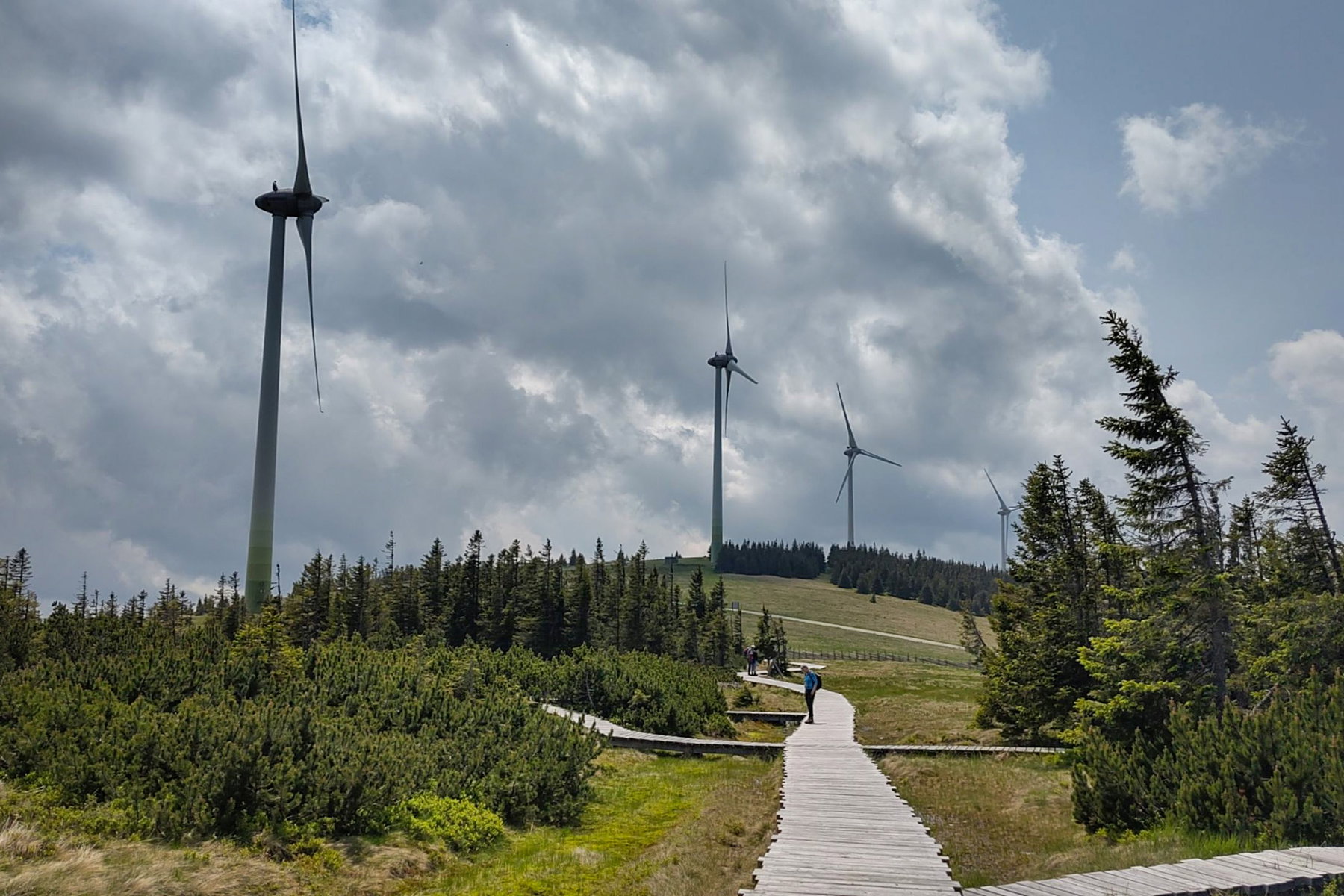 Blick vom Schwarzriegelmoos Richtung Pretul; Wegkreuzung im Schwarzriegelmoos. Fotos: Tobias Köhler