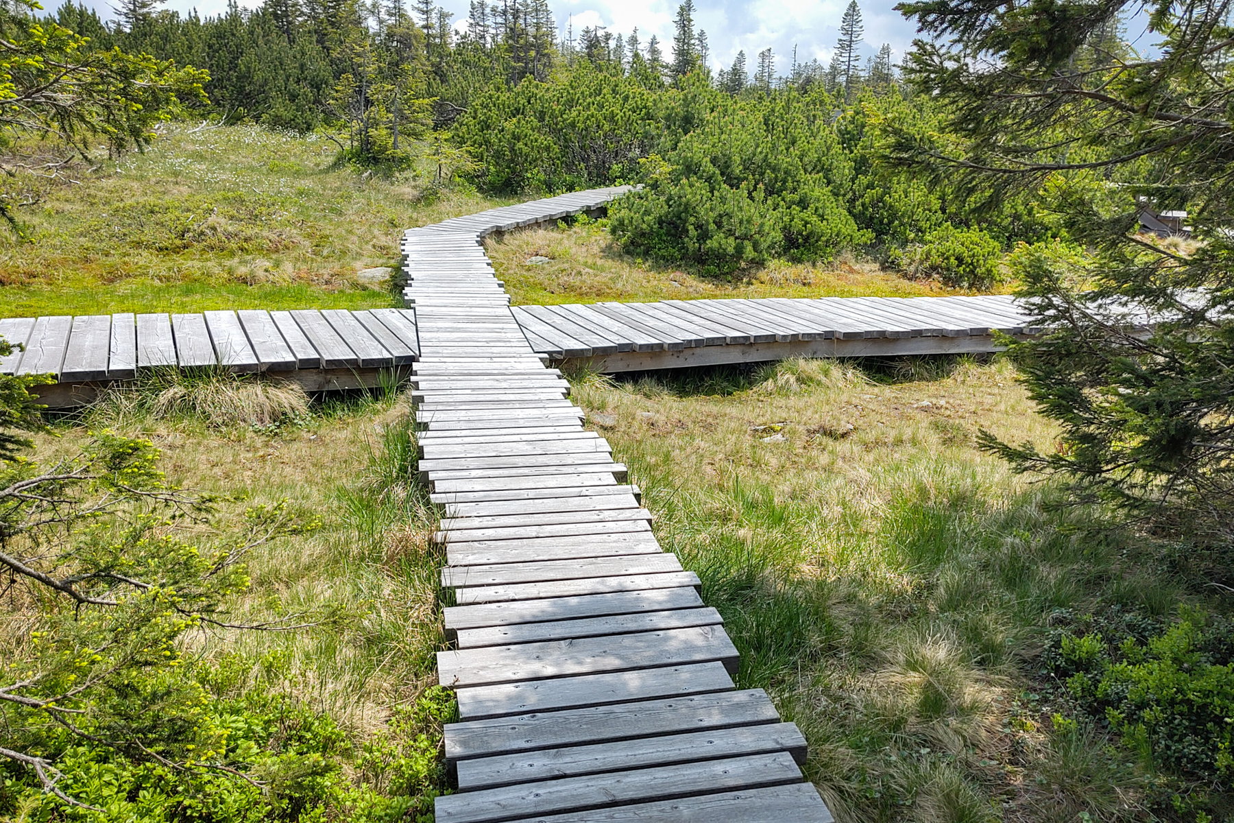 Blick vom Schwarzriegelmoos Richtung Pretul; Wegkreuzung im Schwarzriegelmoos. Fotos: Tobias Köhler