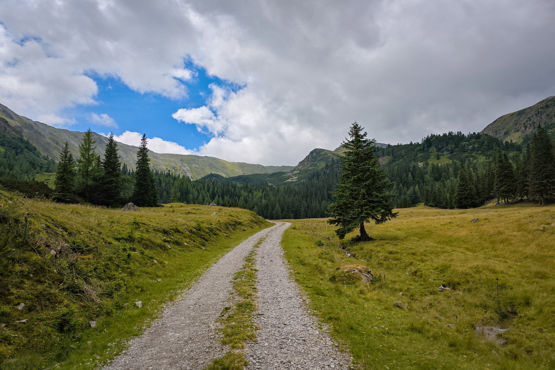 Am Weinmeisterboden – Suchbild: wo ist das Dach der Oberen Bodenhütte? Foto: Lisa Nussdorfer