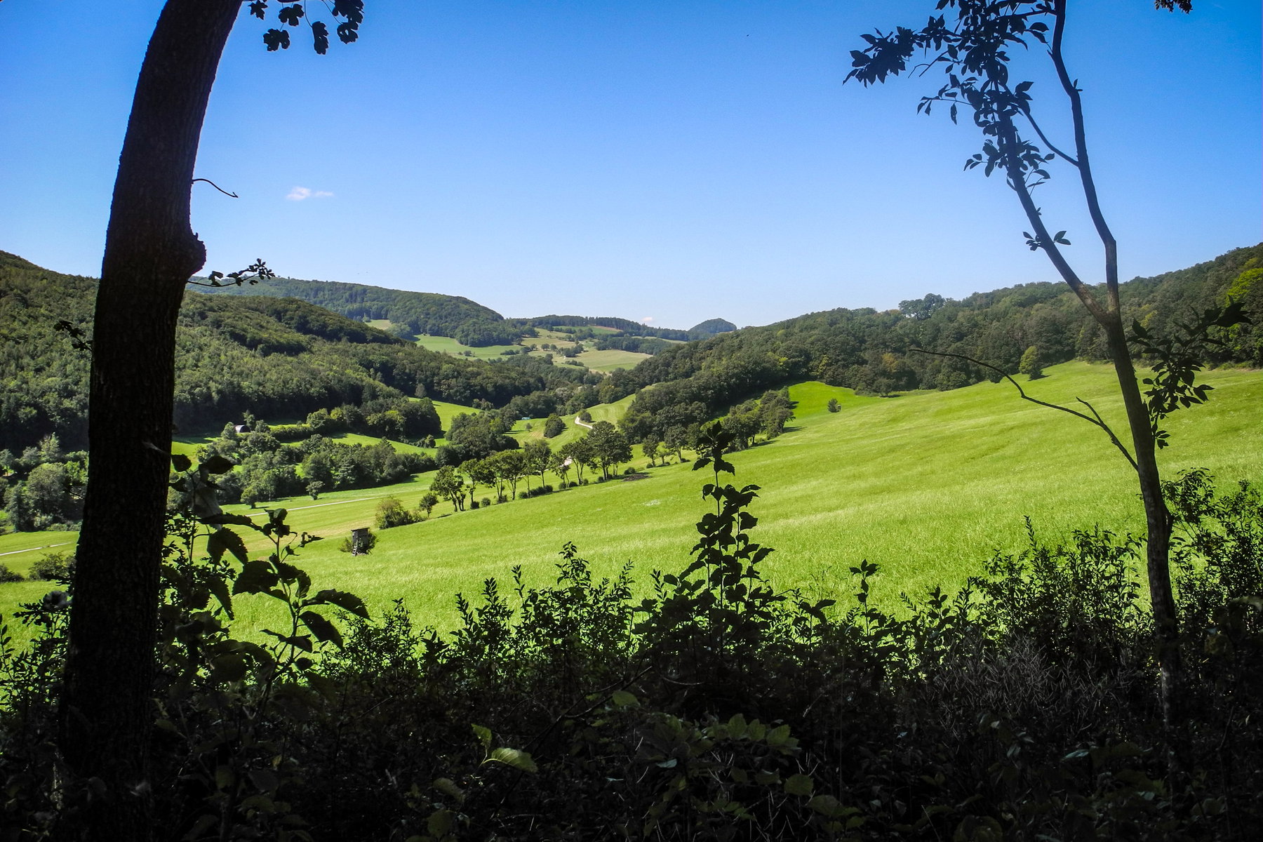 Blick von Untermeierhof Richtung Groisbach. Foto: Barbara Wanzenböck
