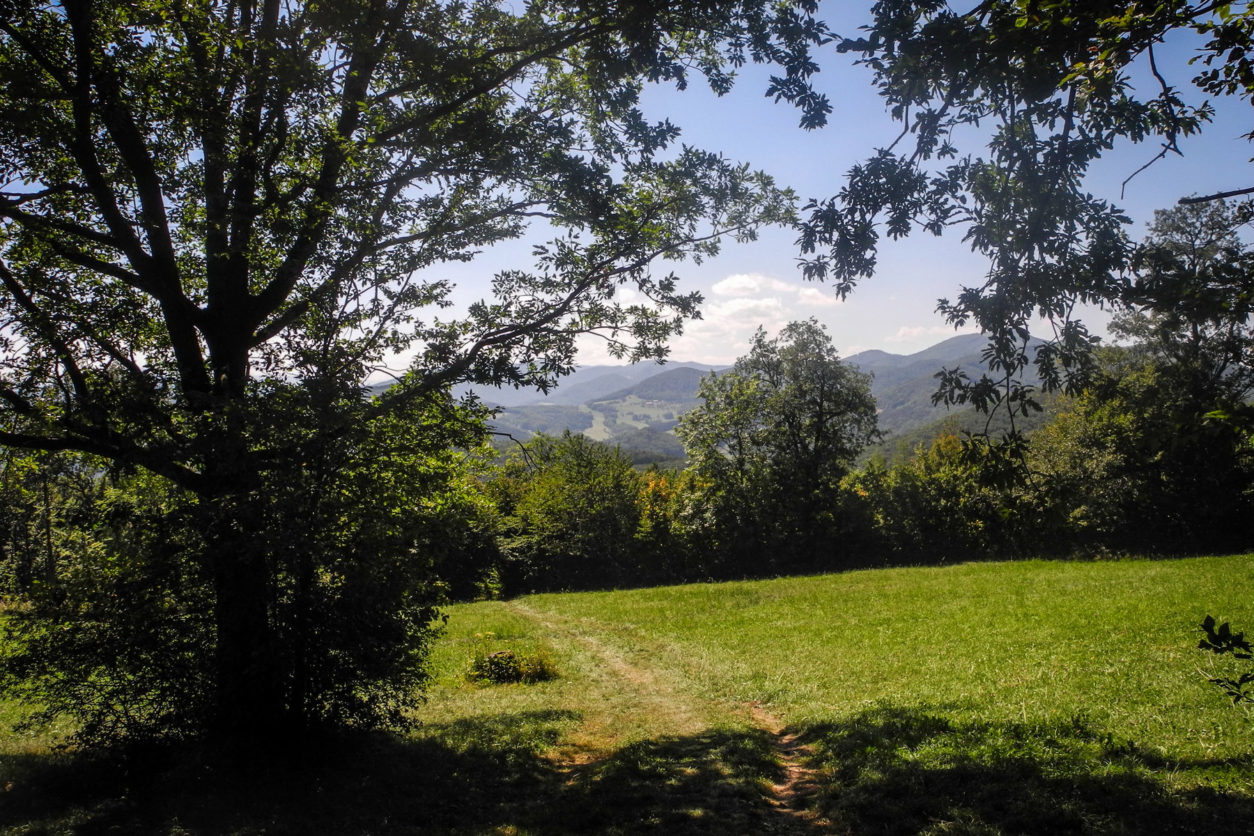 Abstieg über Wiesen und Waldstücke. Foto: Barbara Wanzenböck