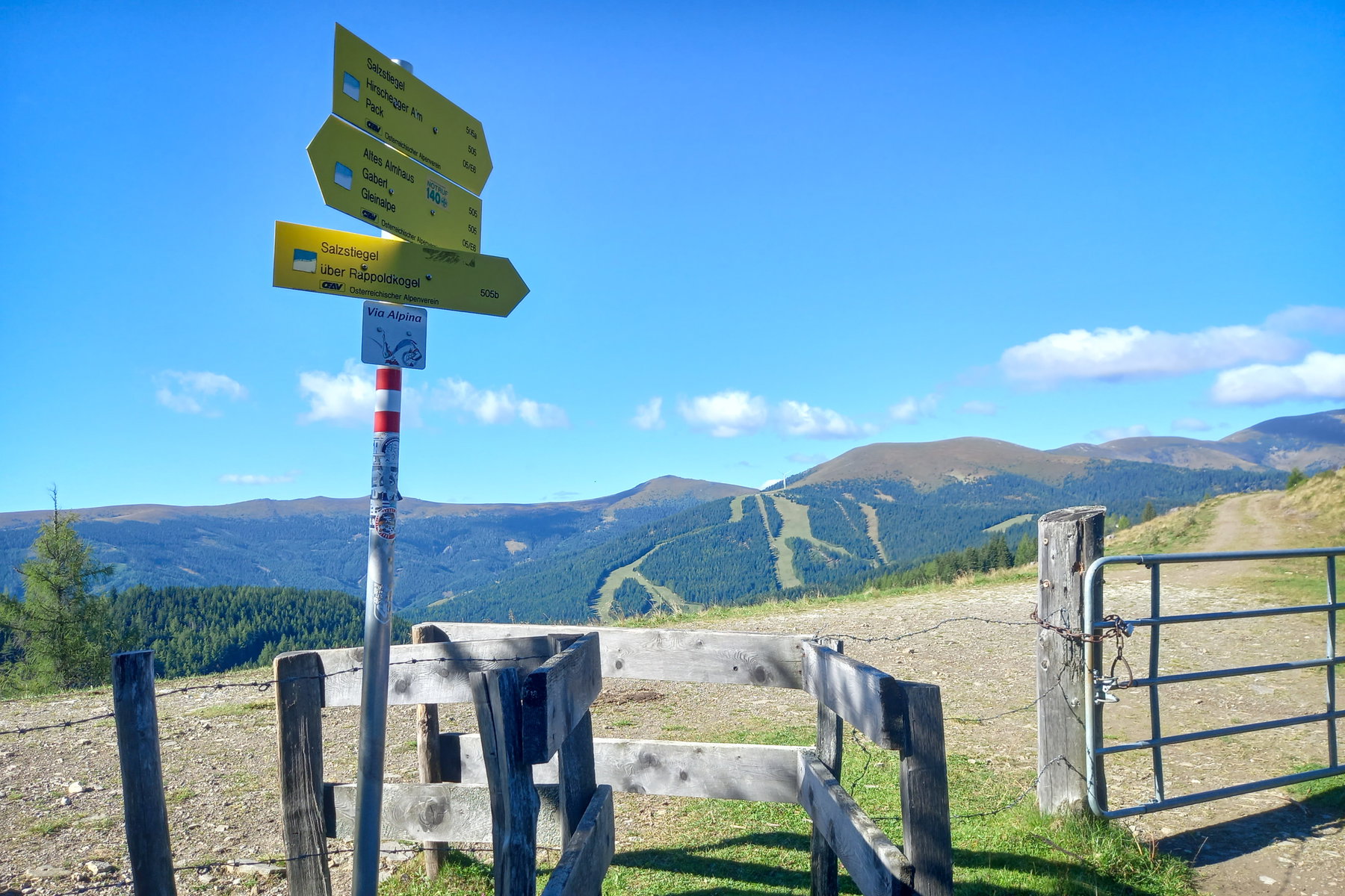 An diesem Gatter zweigt der Weg zum Rappold ab. Dahinter sind die Skipisten vom Salzstiegl zu sehen. Foto: Martina Friesenbichler