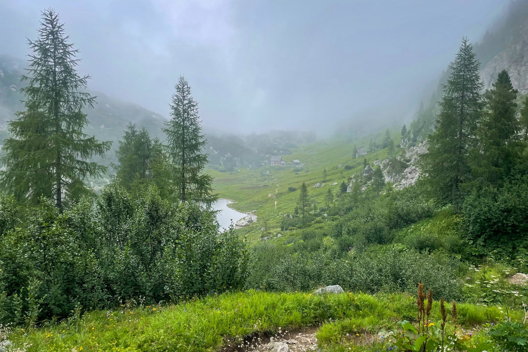 Blick zur Pühringerhütte. Foto: Ursula Truebswasser