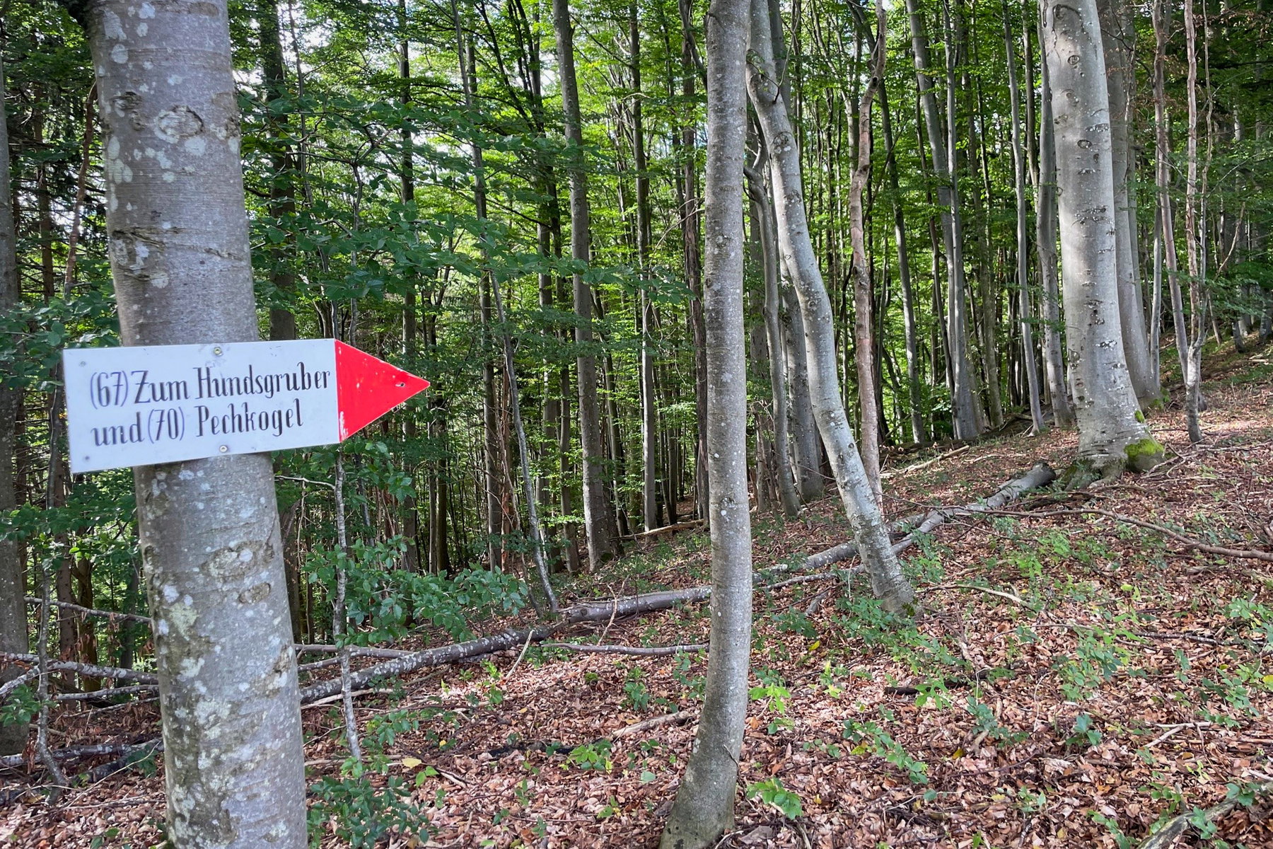 Wegweiser zum Pechkogel. Foto: Ursula Truebswasser