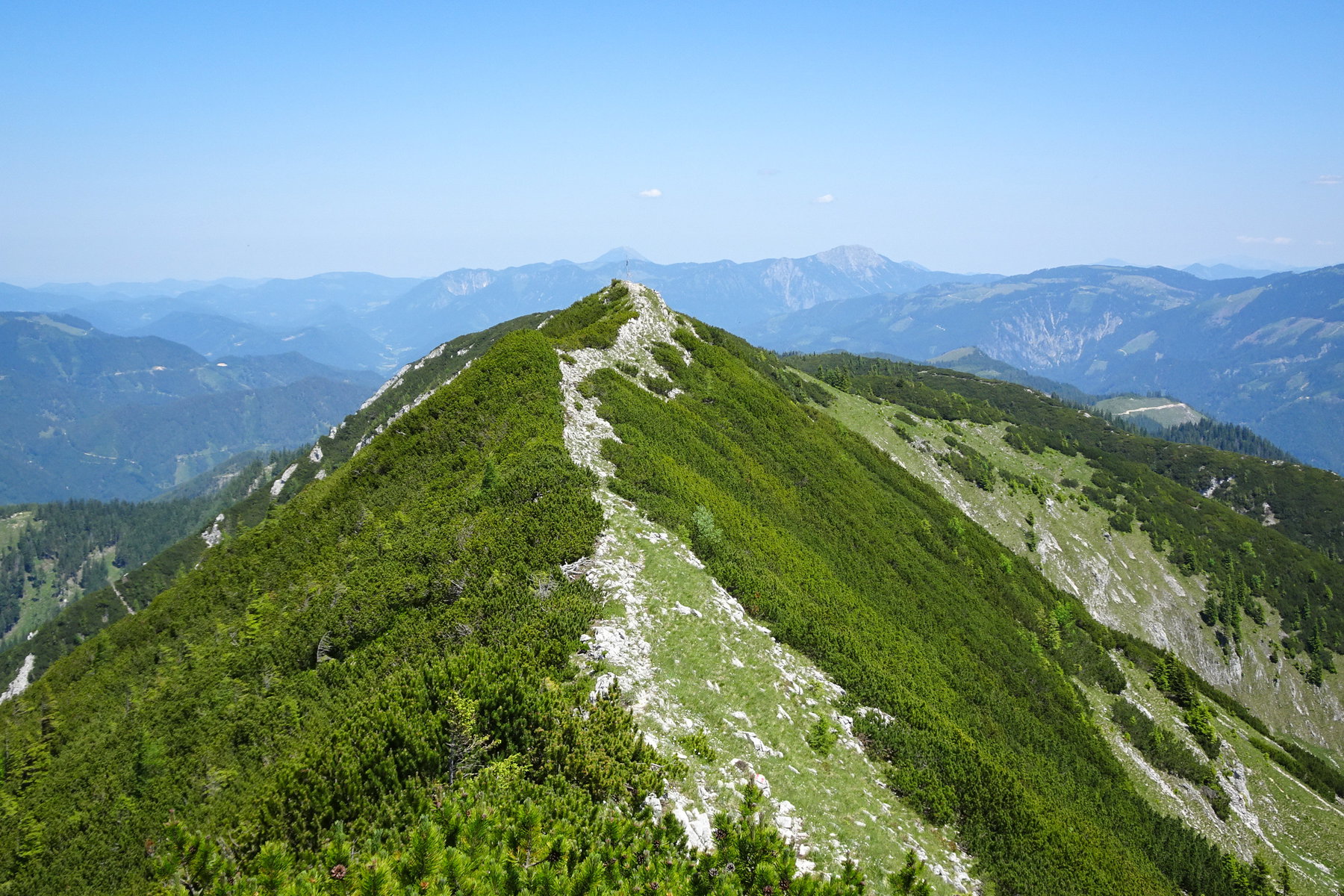 Gamsstein: Tolle Aussicht und Blumenparadies oberhalb von Palfau