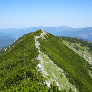 Gamsstein: Tolle Aussicht und Blumenparadies oberhalb von Palfau