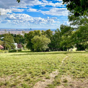 Gstettn, Wiesen, Villen – ein Währinger Stadtspaziergang