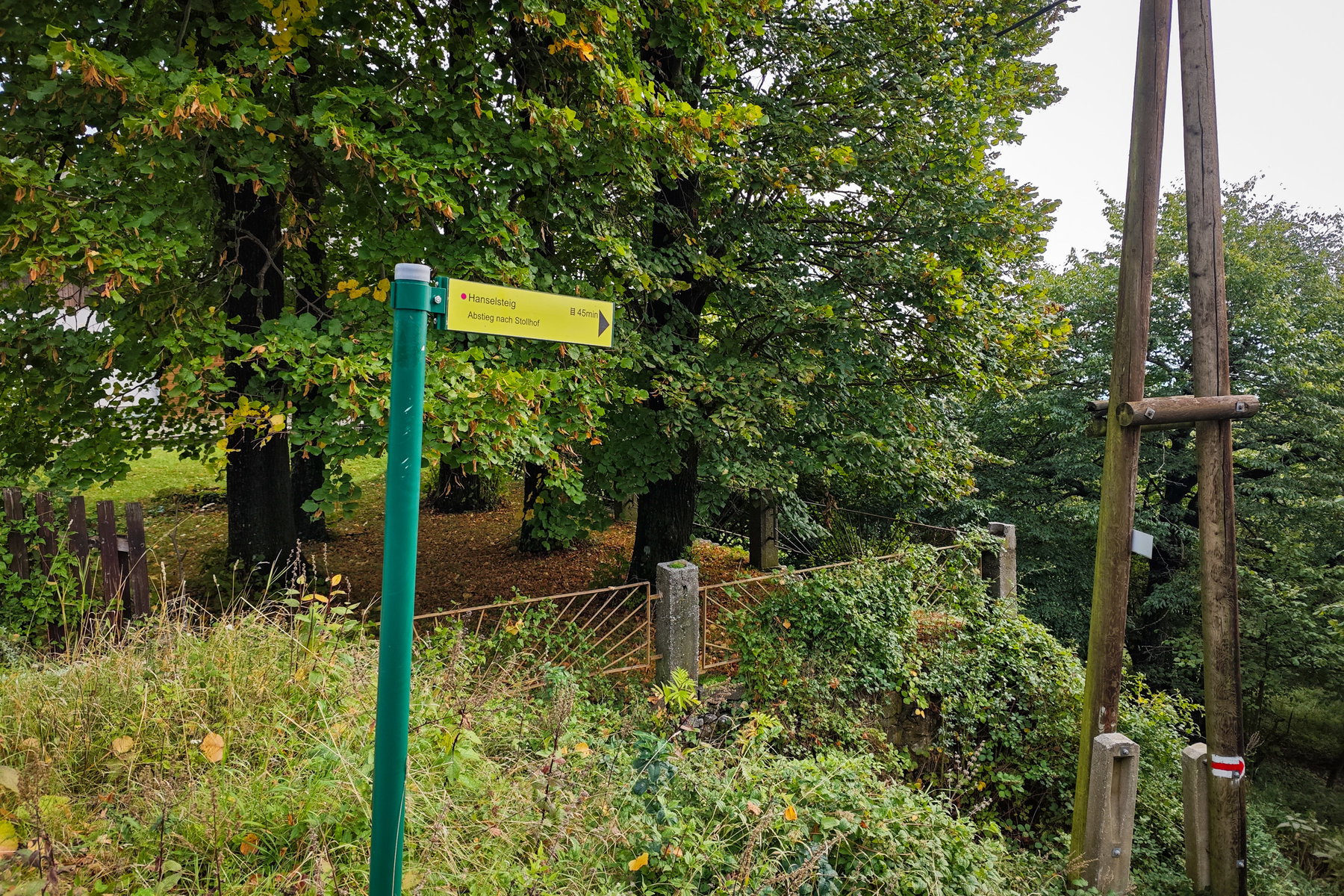 Hanselsteig, rot markiert – schaut von hier ganz harmlos aus. Foto: Lisa Nussdorfer