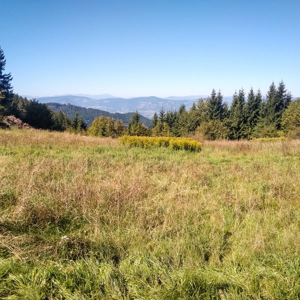 Von St. Filippen über den Apetschnigkogel nach Launsdorf