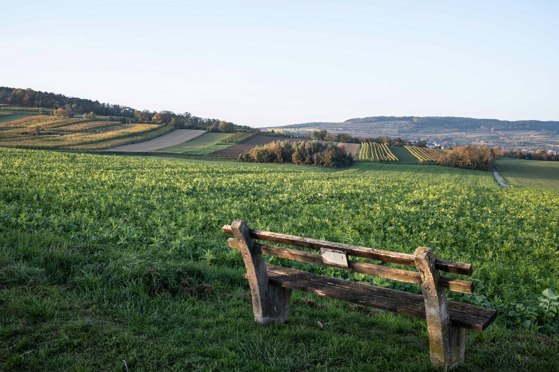 Kultur, Genuss und Weitblick auf dem Weg von Göttweig nach Herzogenburg