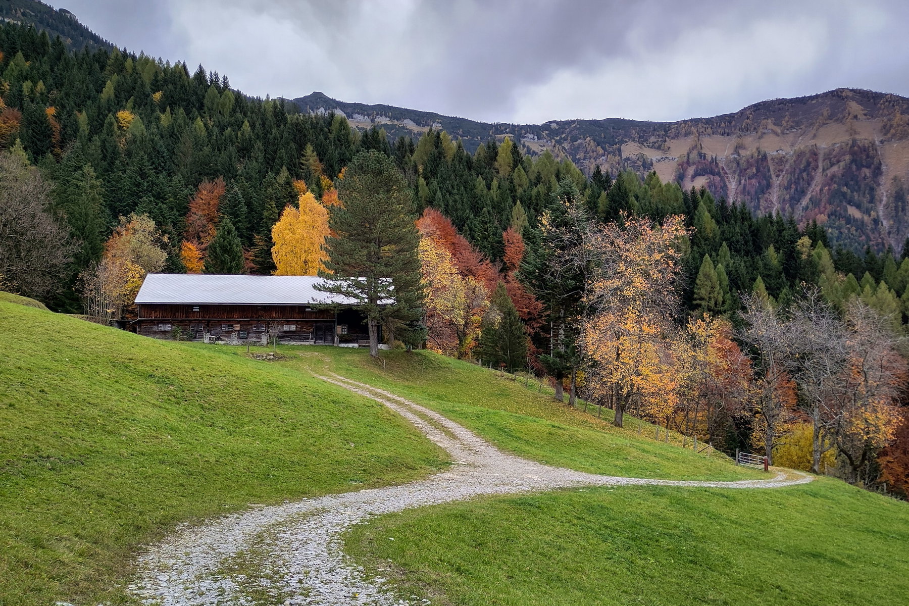 Hidden Pearls I: Die Davidrunde (Bike and Hike zur Oberhellweng- und Ascheralm)