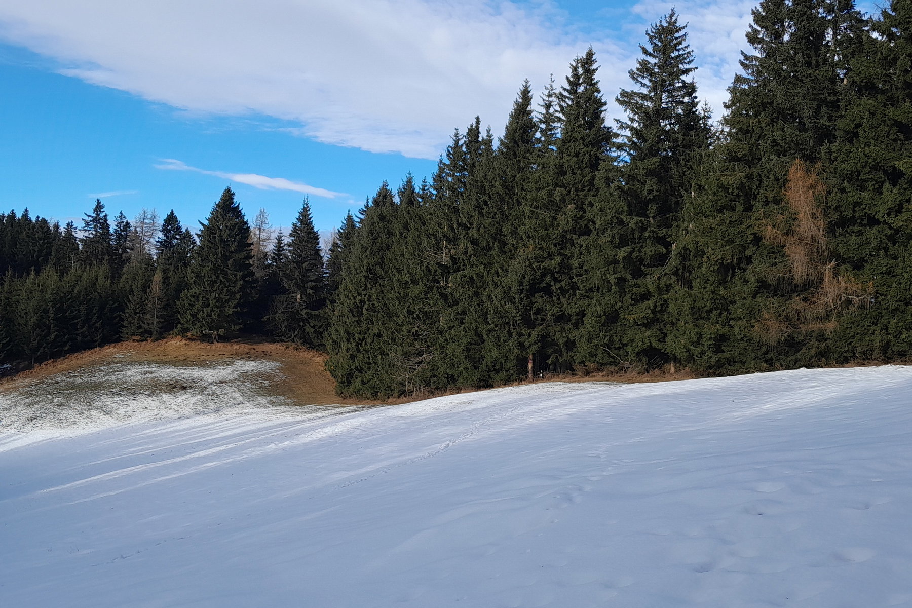 Weg am Waldrand auf den Rosskogel. Foto: Martin Winter