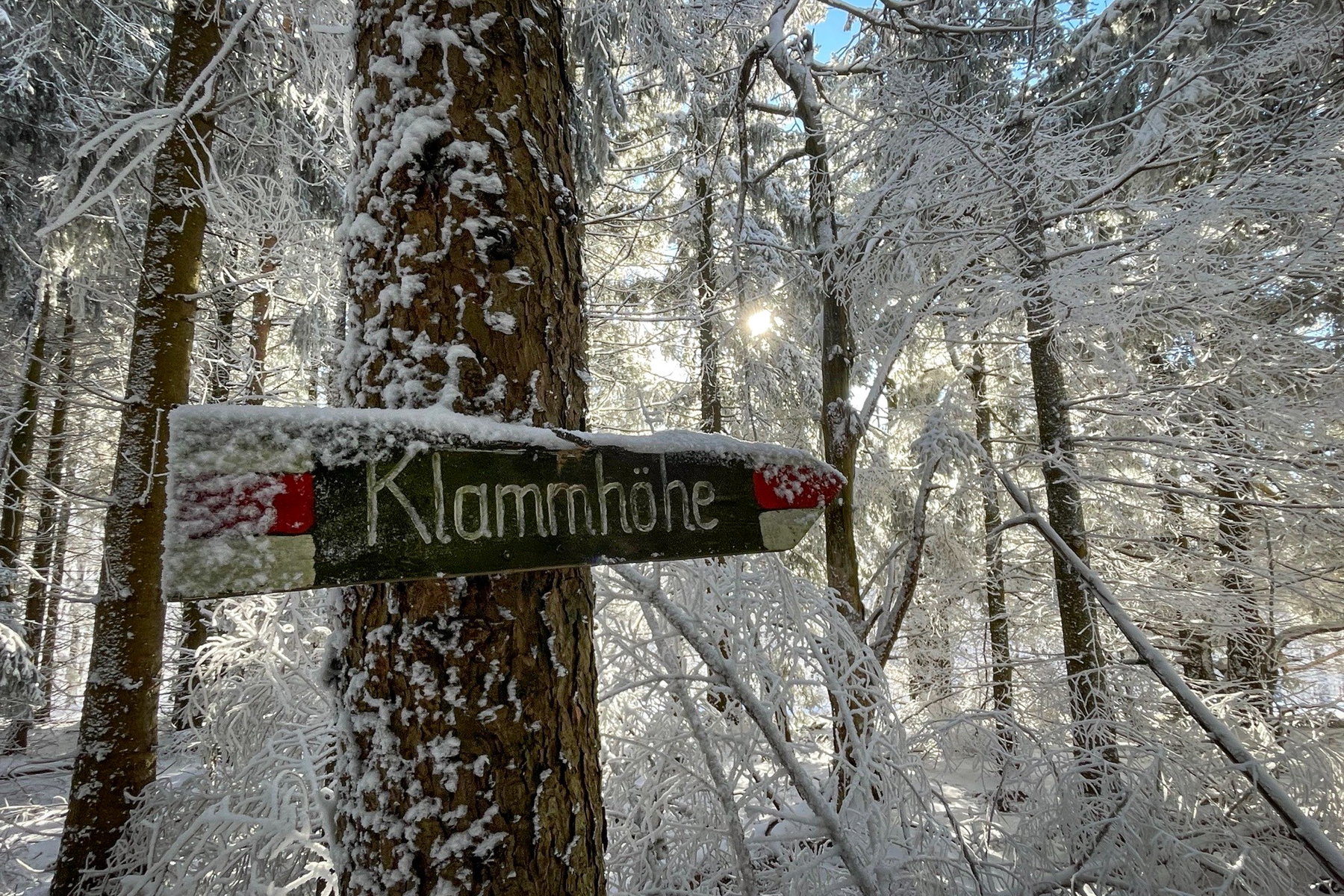 Richtung Klammhöhe. Foto: Ursula Truebswasser