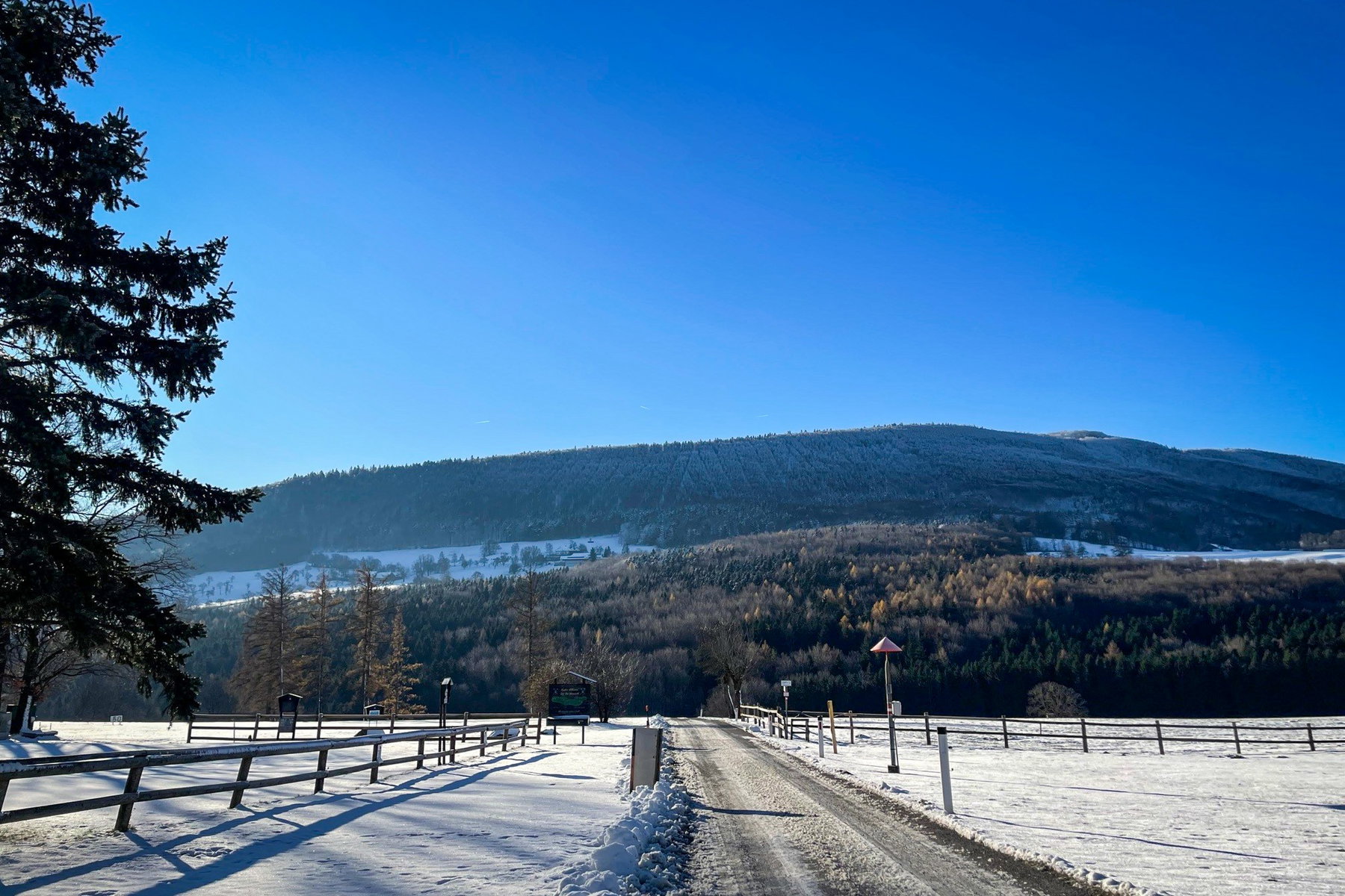 Blick auf den Schöpfl vom Gasthaus Stegemaier. Foto: Ursula Truebswasser