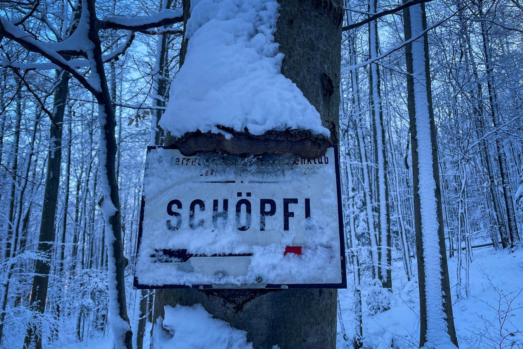 Anstieg zum Schöpfl. Foto: Ursula Truebswasser