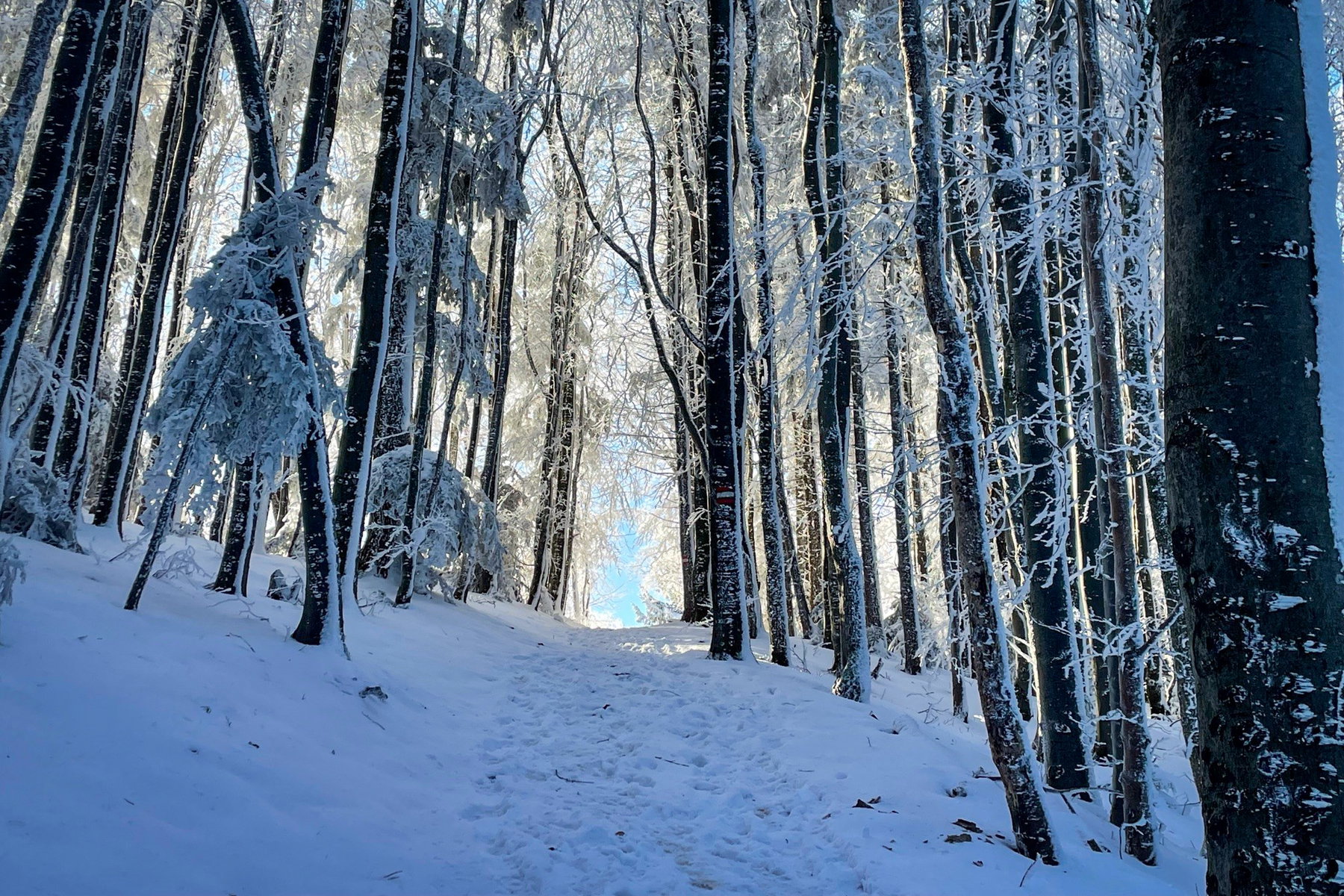 Blick zur Sonnenseite. Foto: Ursula Truebswasser