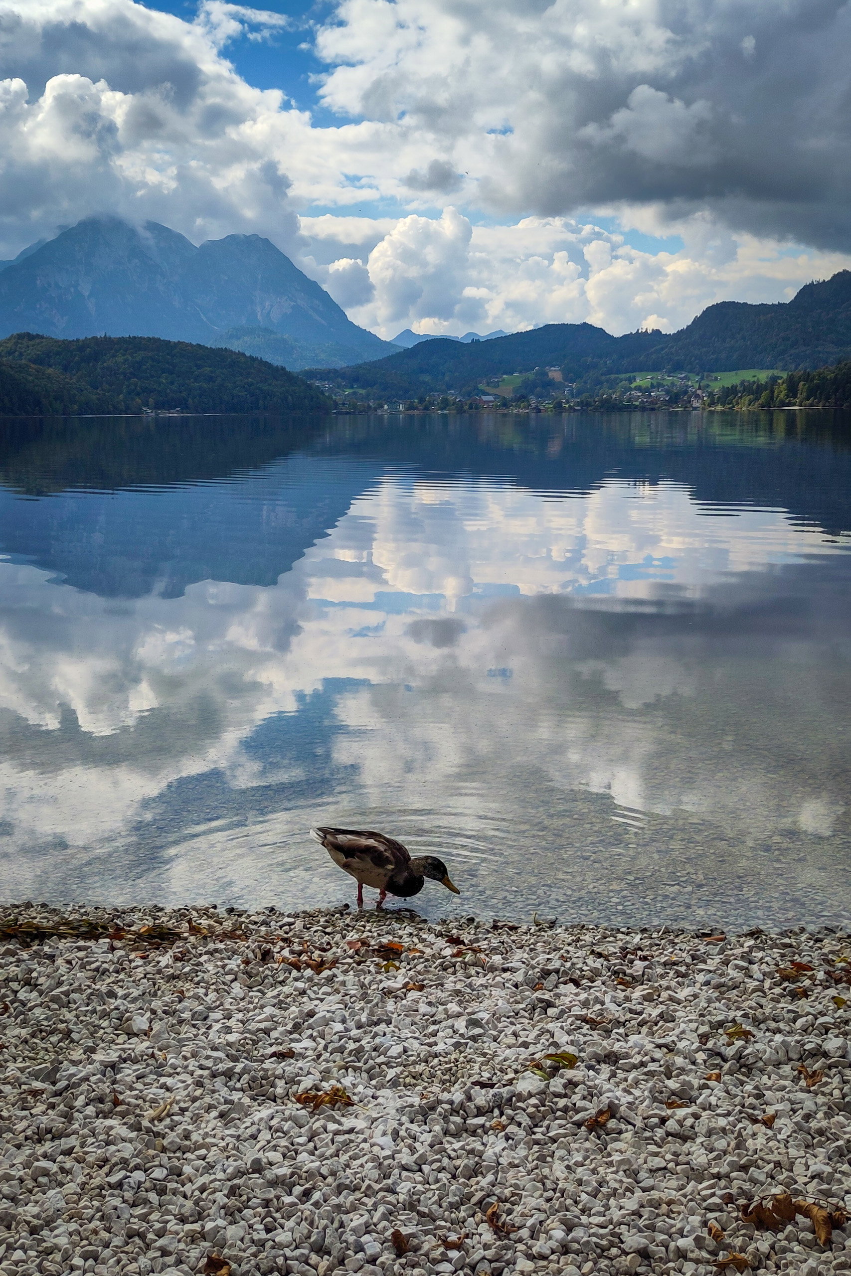 Ausblick von einem Kiesstrand am Ostufer des Sees. Fotos: POW AT