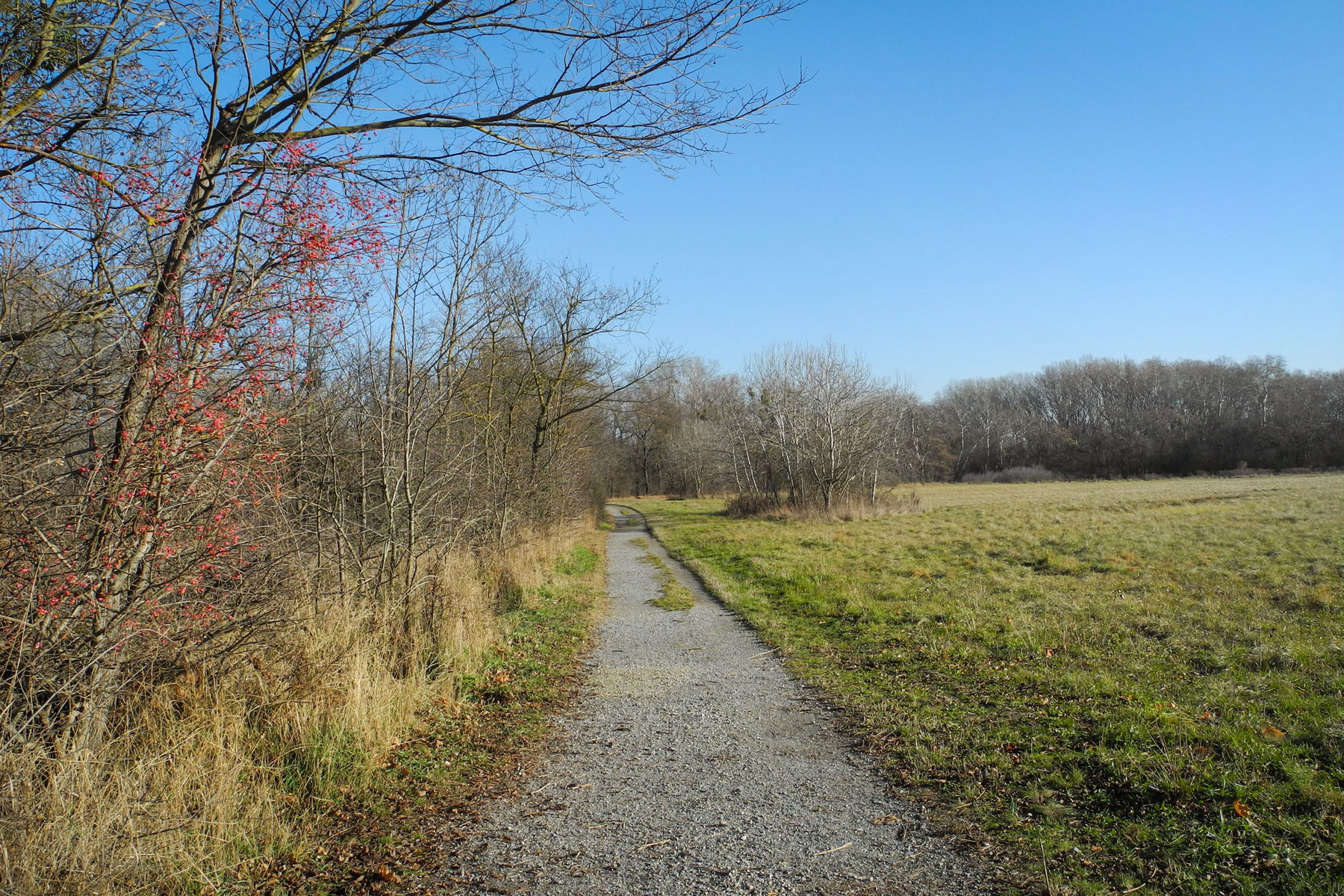 Wanderweg entlang des Mühlwassers. Foto: Barbara Wanzenböck