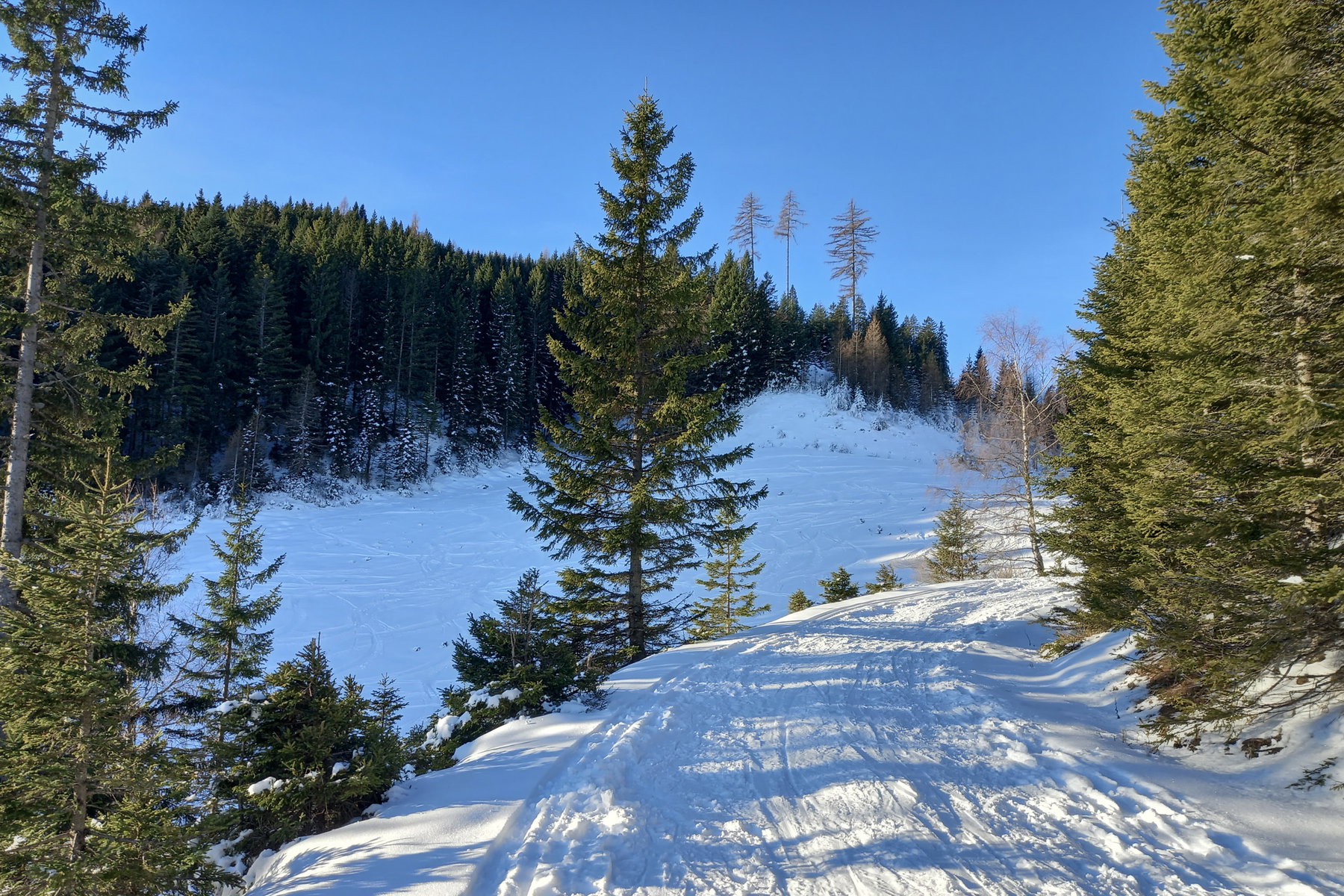 Nach der Biegung treffe ich wieder auf die Standardroute. Foto: Martina Friesenbichler